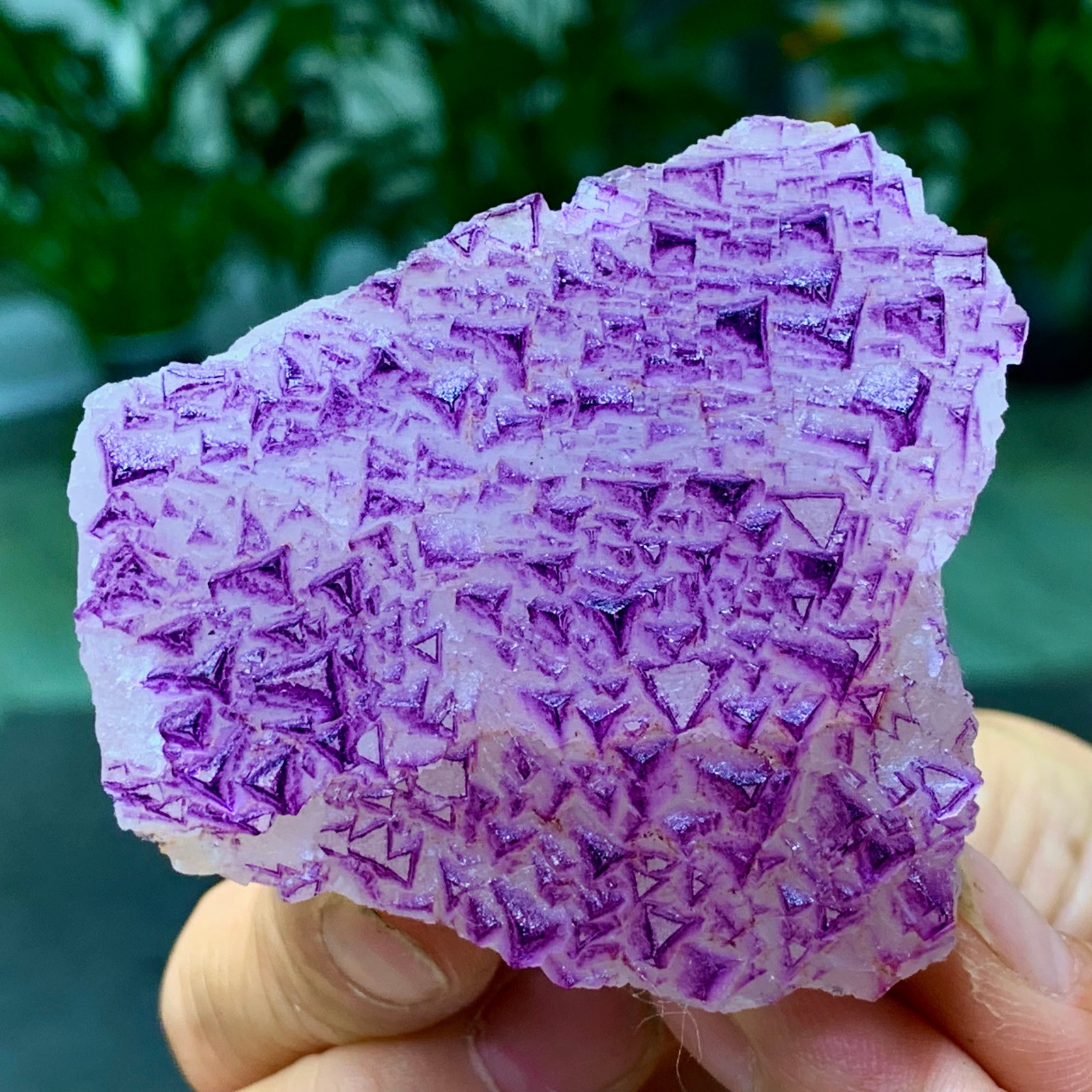 153G Natural fluorite purple edged cubic crystal mineral sample