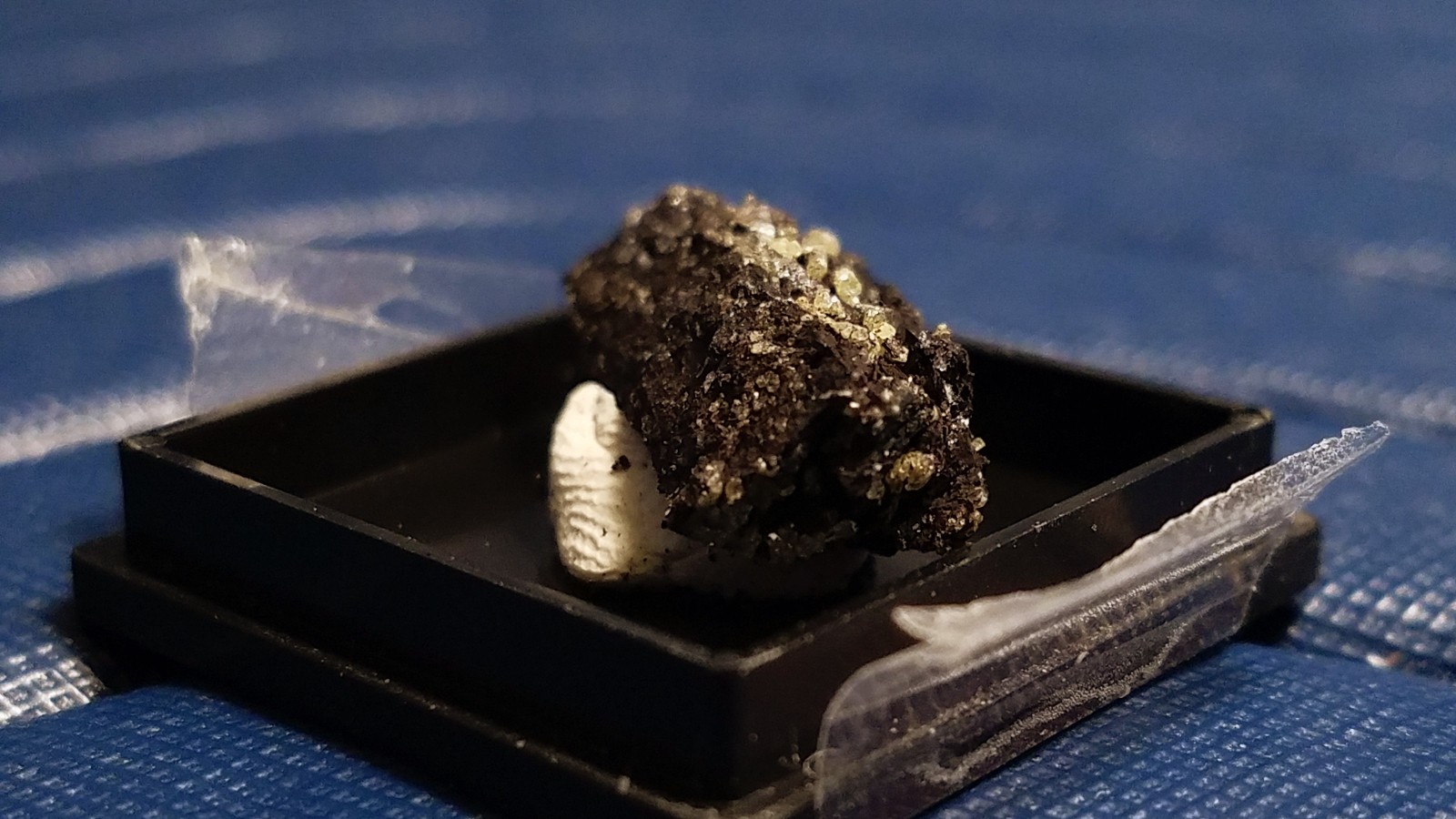 SiG: Tiny Light Pale Yellow Sulphur Crystals on Dark Matrix from Austria