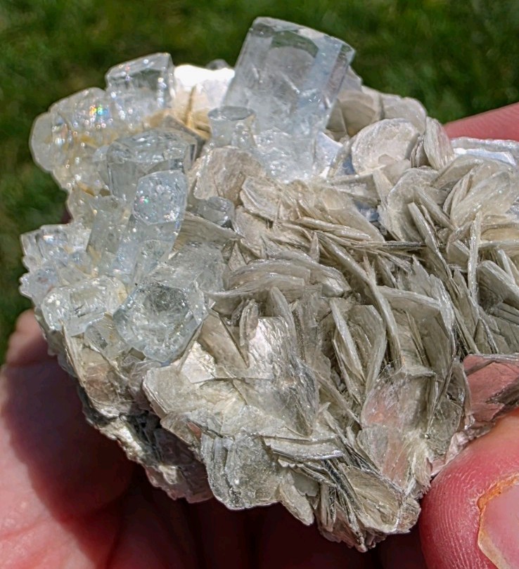 Aquamarine Flower on Muscovite