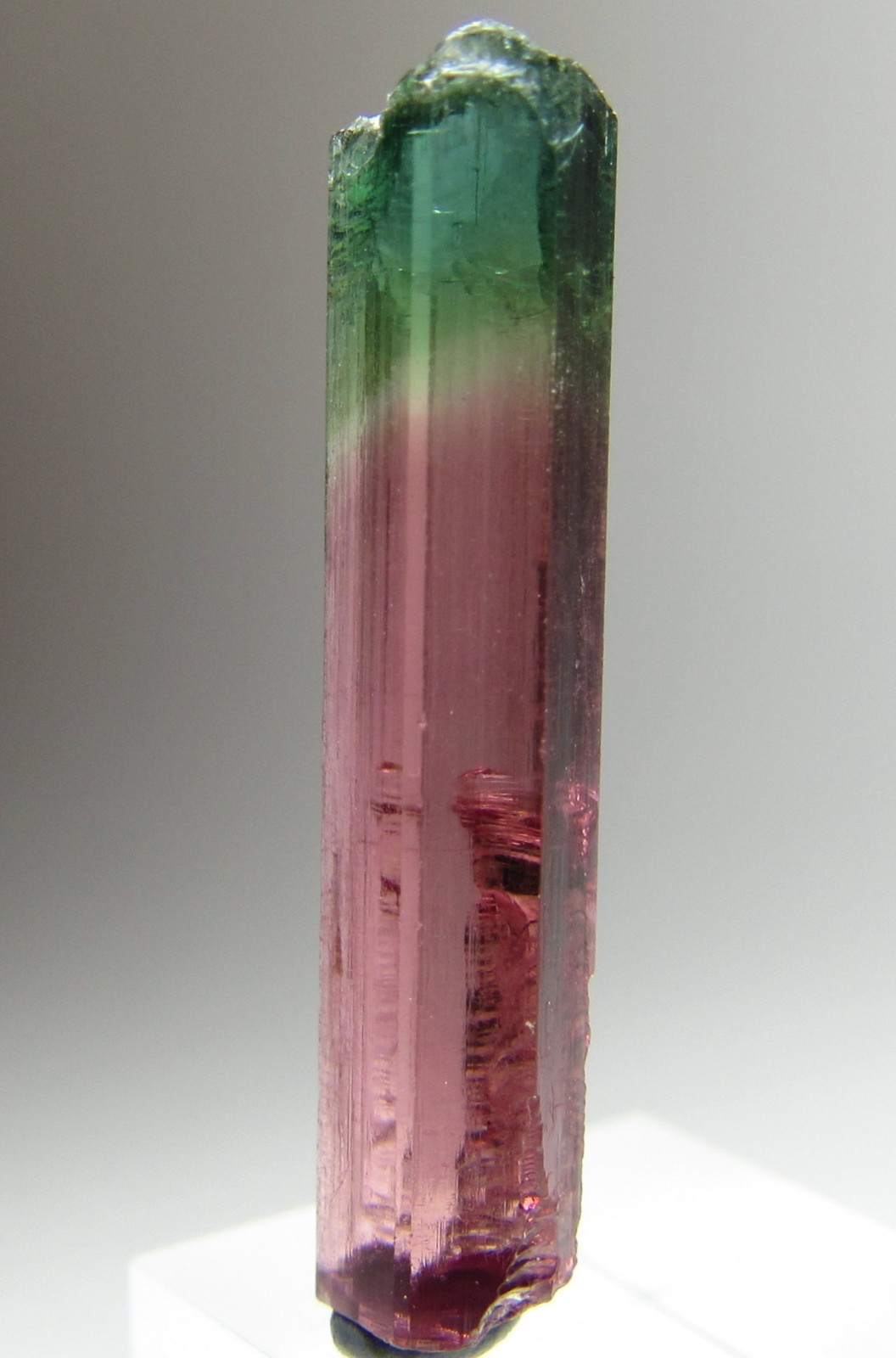 PHENOMENAL RARE FACET GRADE GEM TOURMALINE CRYSTAL!!! MORRO REDONDO BRAZIL