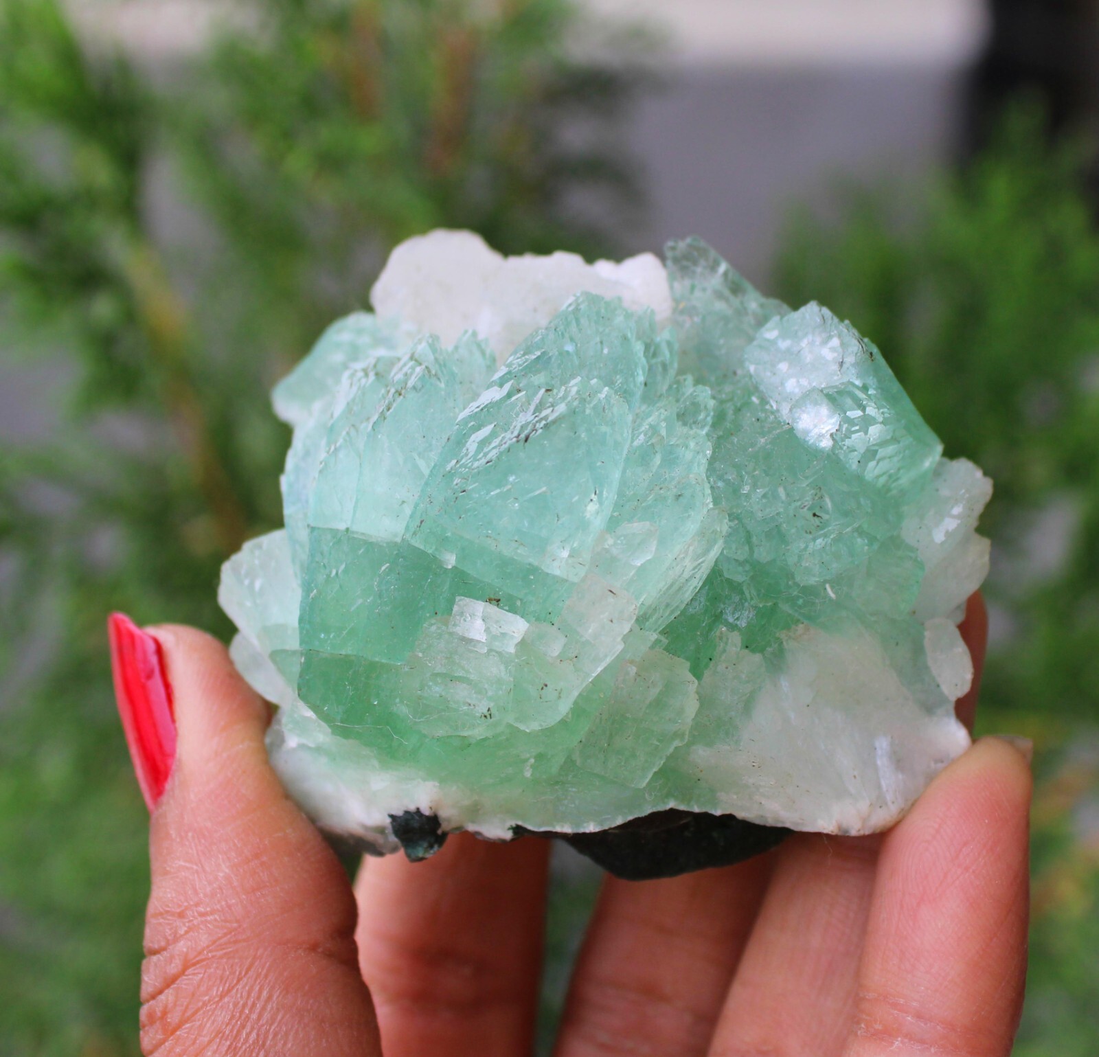 Green Apophyllite Crystals On Matrix Minerals Specimen #M50