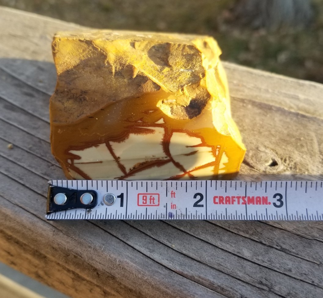 Nice End Polished Gem Grade Owyhee Picture Jasper Specimen 13.5oz Oregon Display