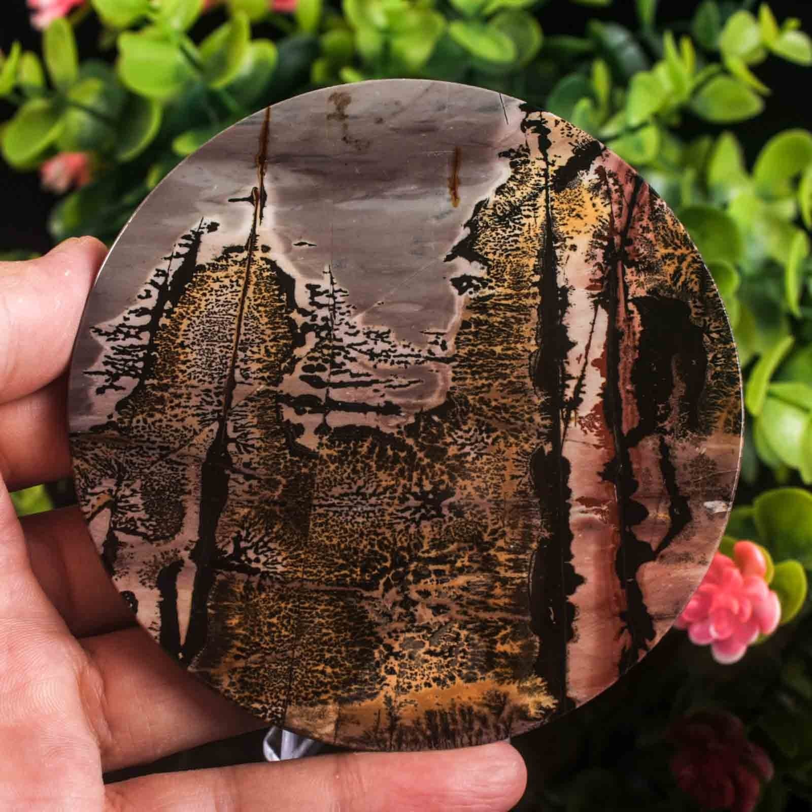 Picture Jasper Slab Natural Stone Display Crystal Specimen w/Stand 3.7″ 4.4oz
