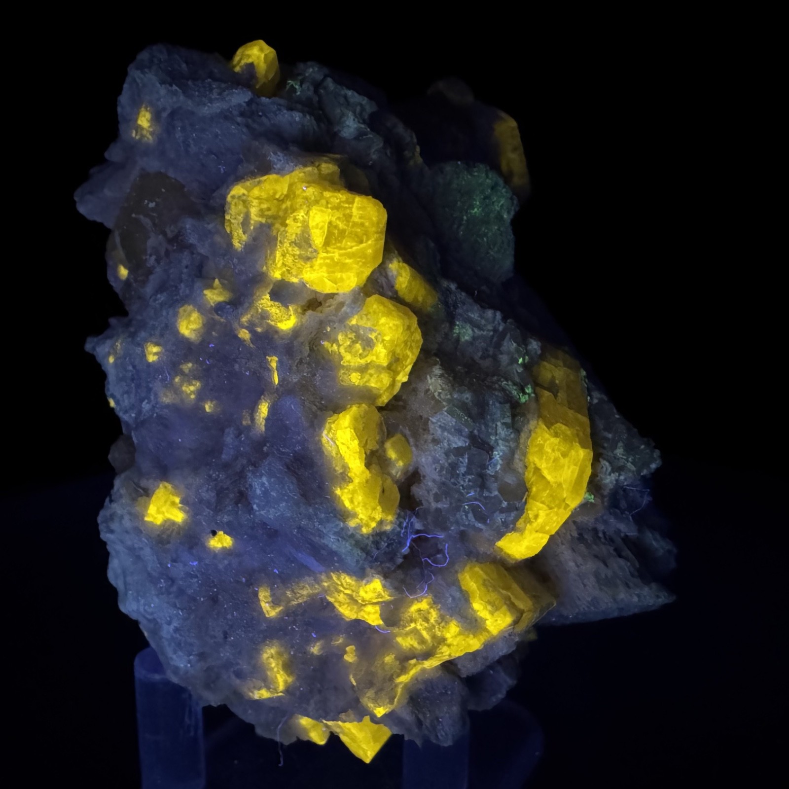 Fine Fluorescent Fluorapatite Crystals on Microcline: Himalaya mine, California