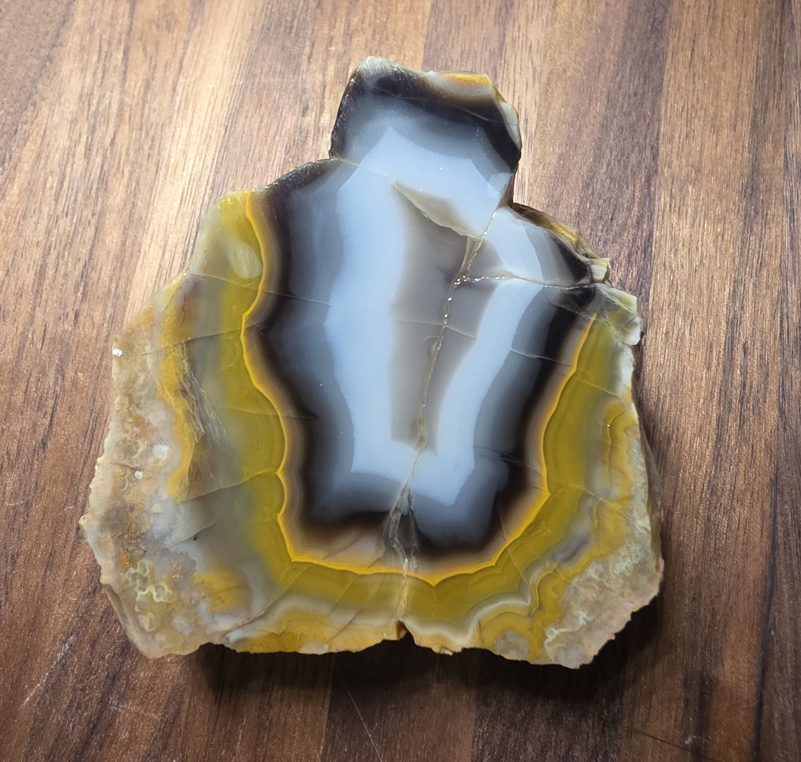Medium Sized Kentucky Agate Display Specimen-Black,Orange,Gray #S-29