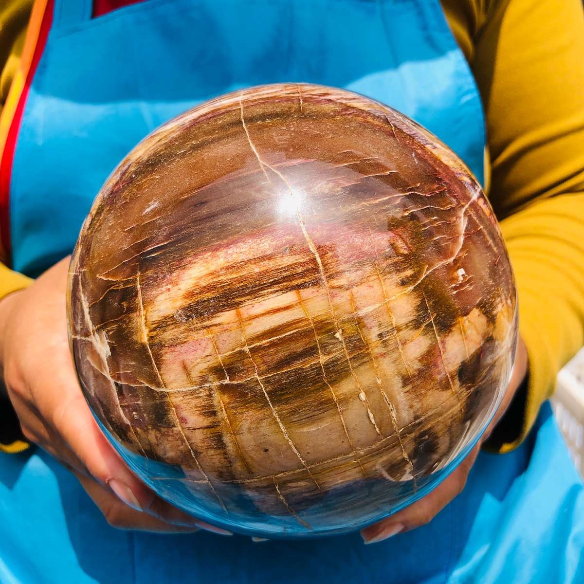 8.18LB Rare Natural Petrified Wood Ball Crystal Quartz Mineral Healing 4698