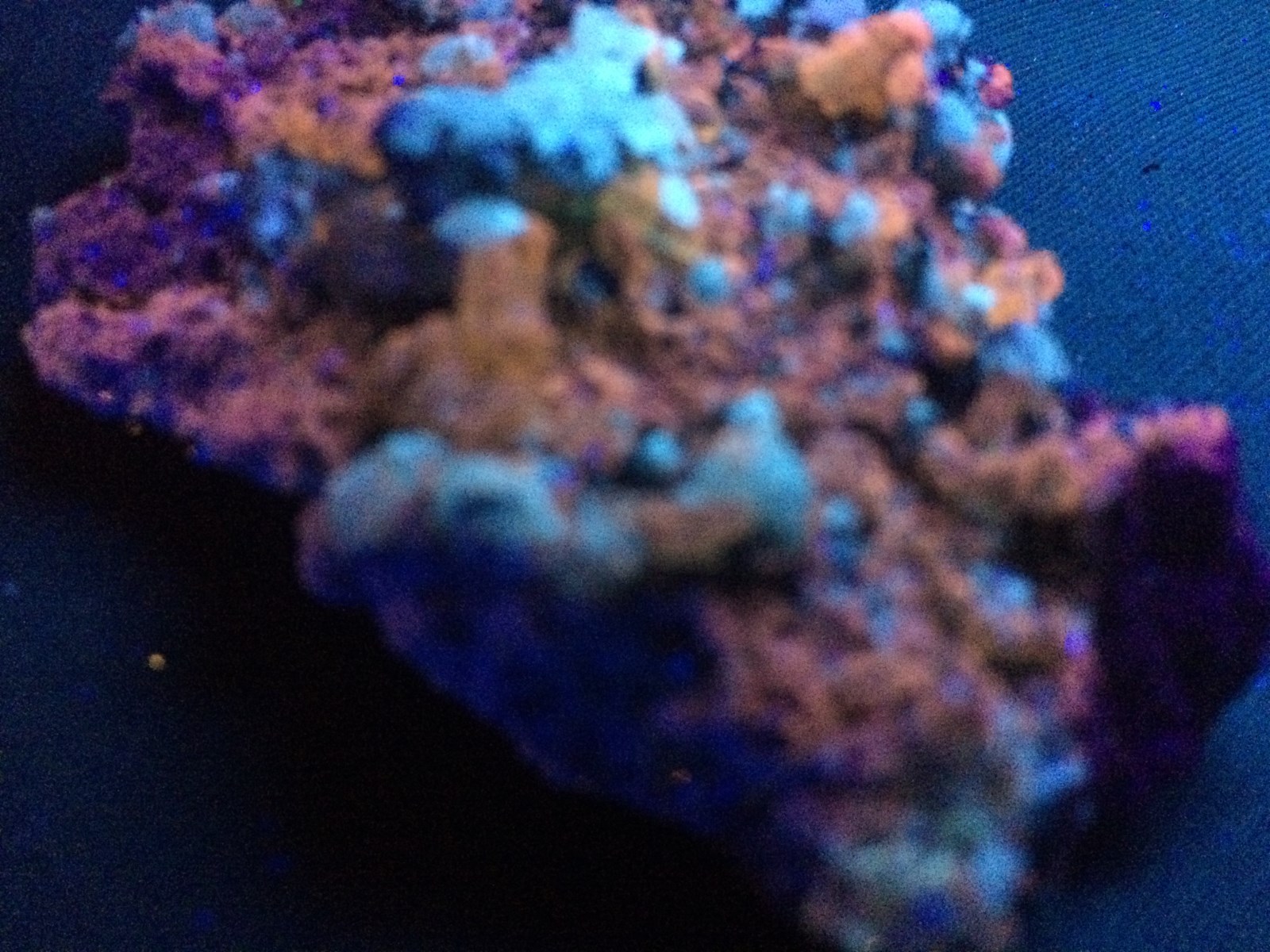 KB: BRIGHT SW FL. ORANGE APATITE XLS. W/ FL. WHITE CALCITE FROM SPAIN