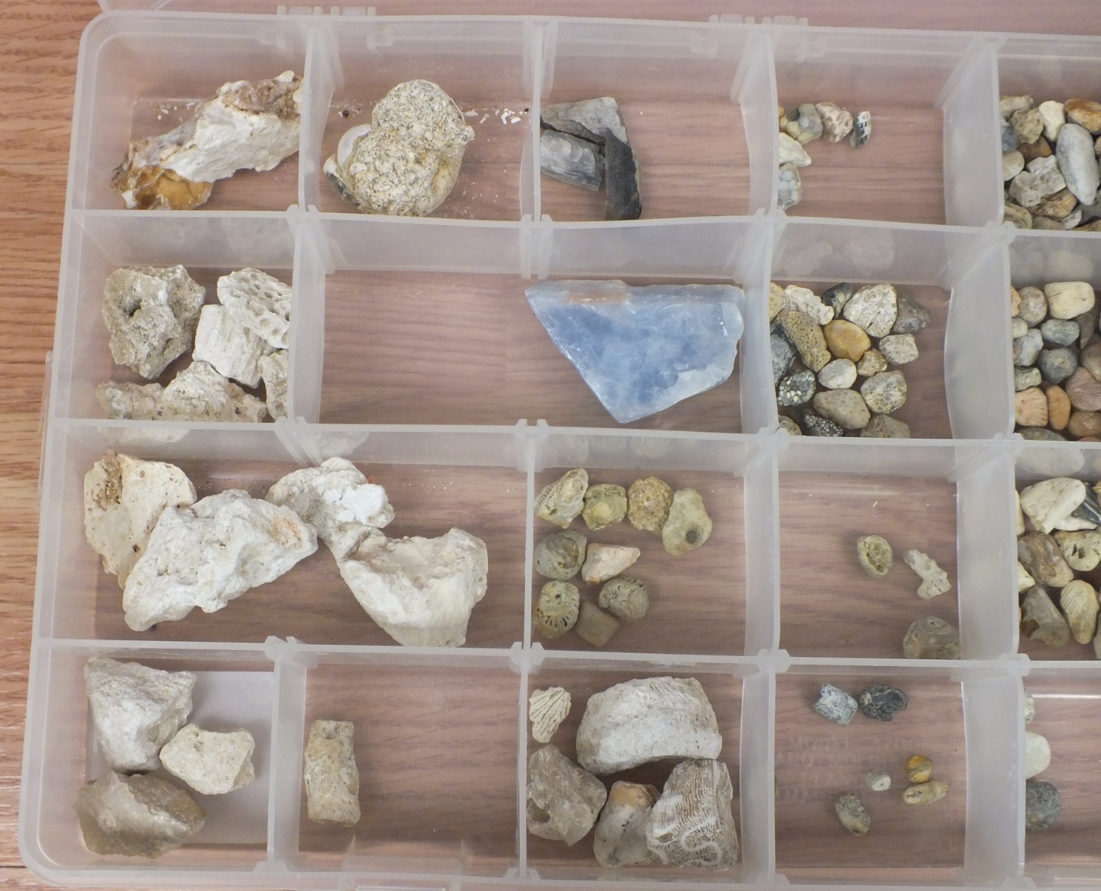 Unbranded Mixed Lot of Multi Size / Color / Texture Rock & Fossil Collection