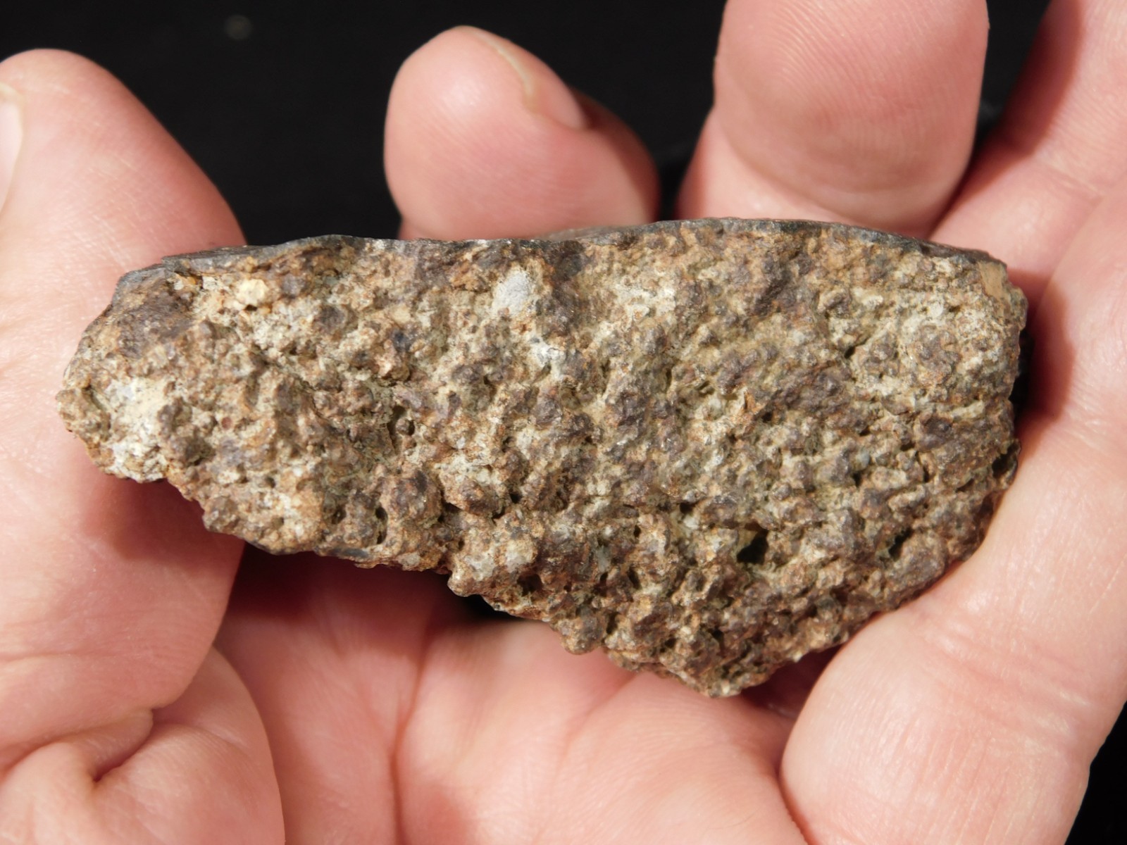 Classified NWA 8245 METEORITE 100% Natural FELL on Erfoud, Morocco 114gr