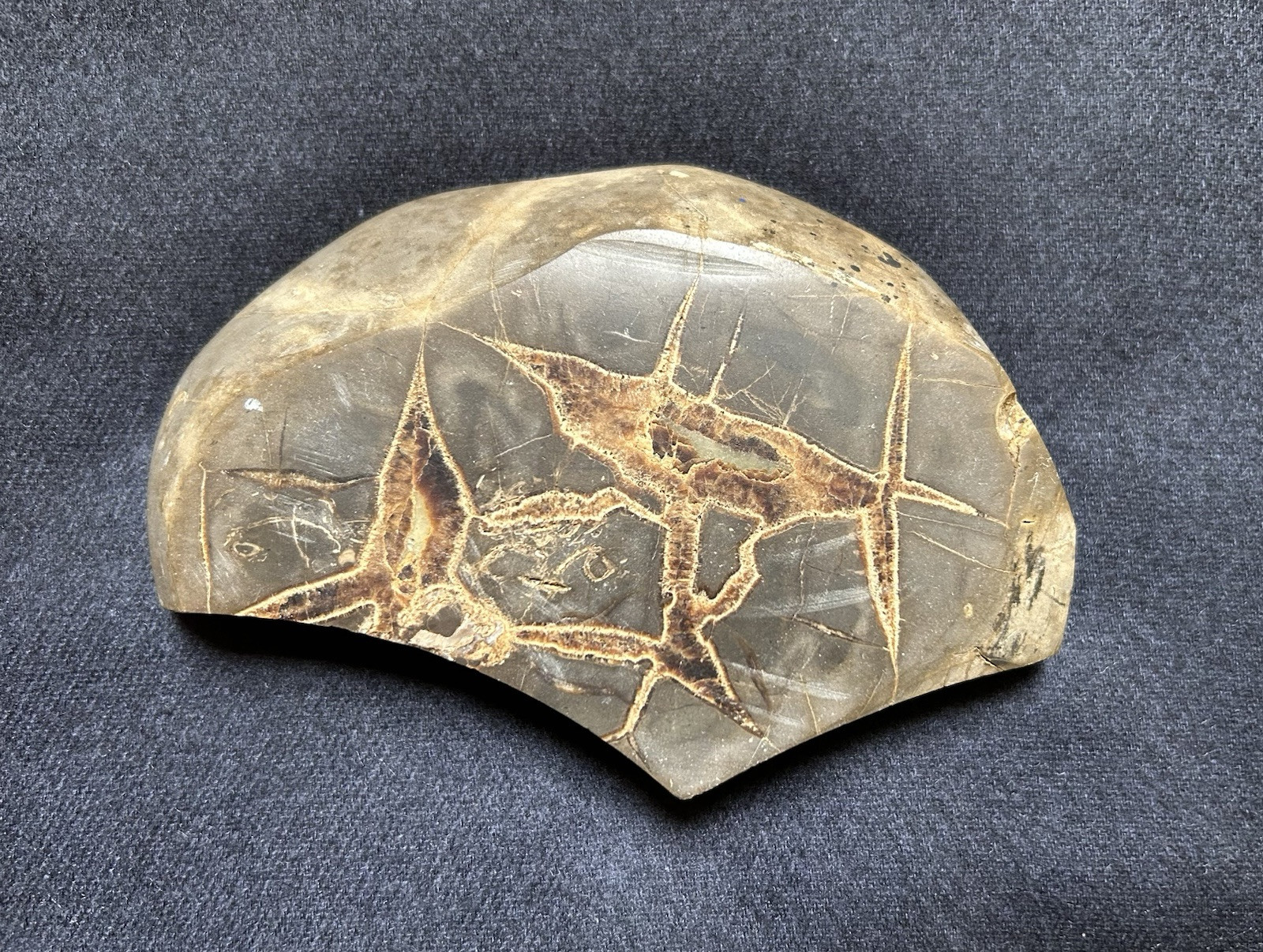 Large Septarian Nodule Utah Specimen Dragon Stone Nice Obvious Calcite Presence