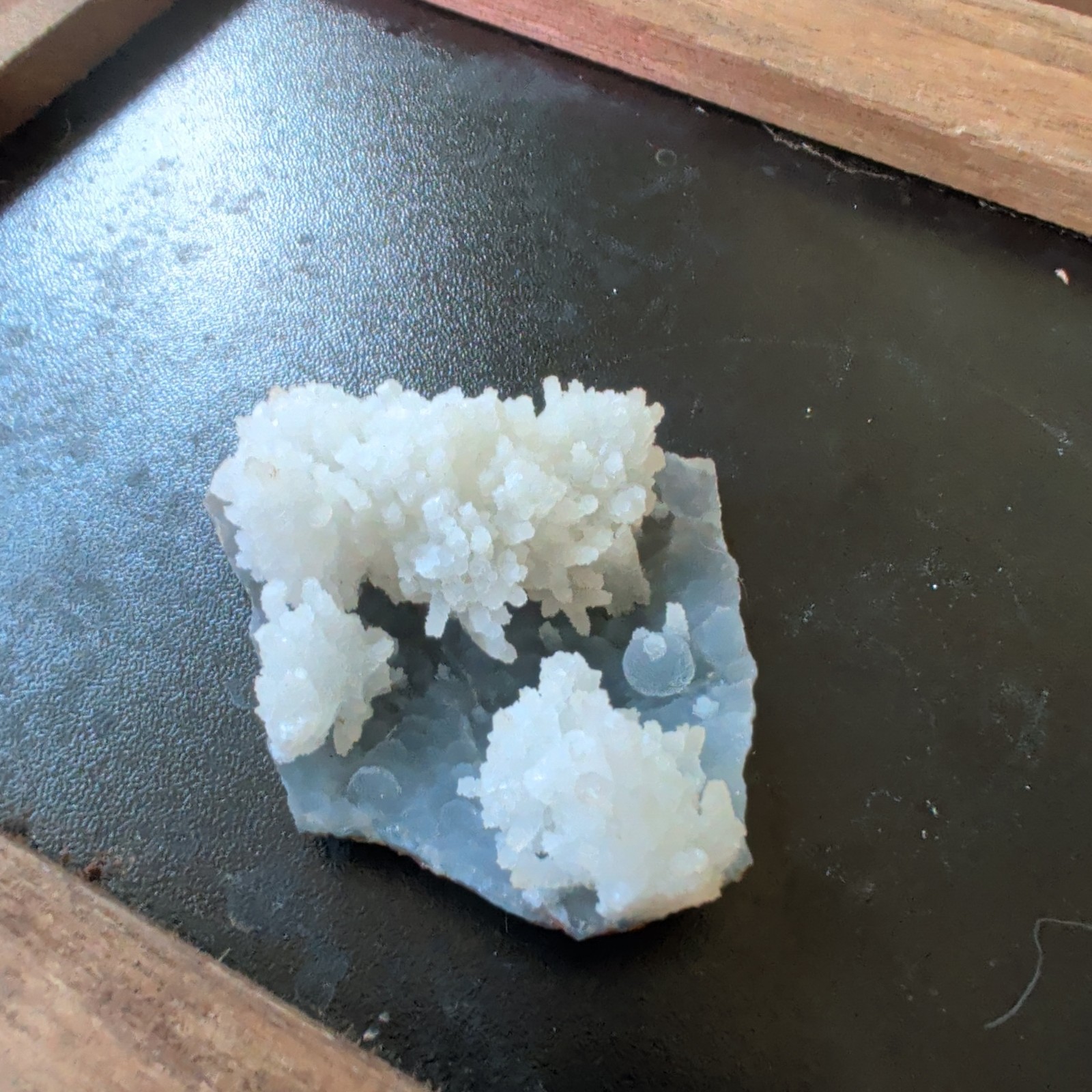 White flower formations atop a blue chalcedony base Mineral Display Piece Raw