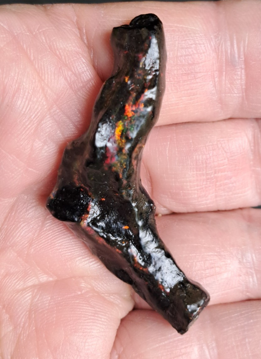 Huge Multicolor 38.52ct Indonesian Wood Opal Fossil Red, Green, & Yellow Flashes