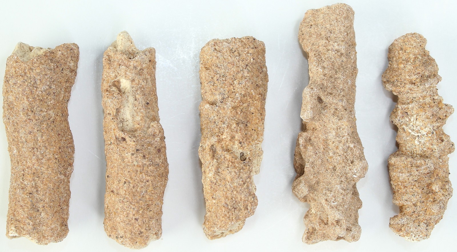 5 Pieces of Rare AAA Algerian Fulgurite (Petrified Lightning) / 76gr / 4109