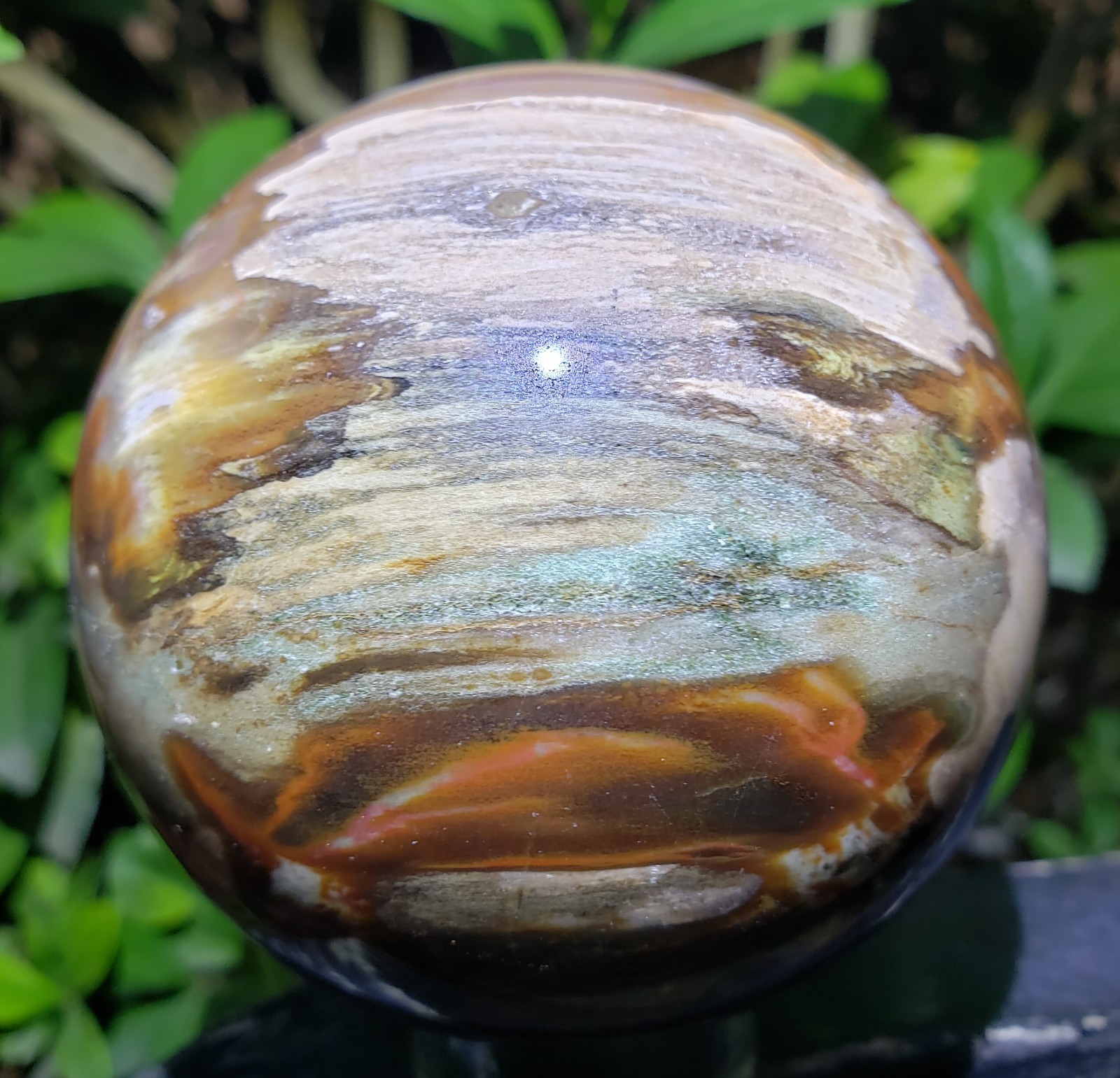 3.1″ Red Petrified Wood Sphere Orb Quartz Crystal Ball Fossil Mineral UV, 652g