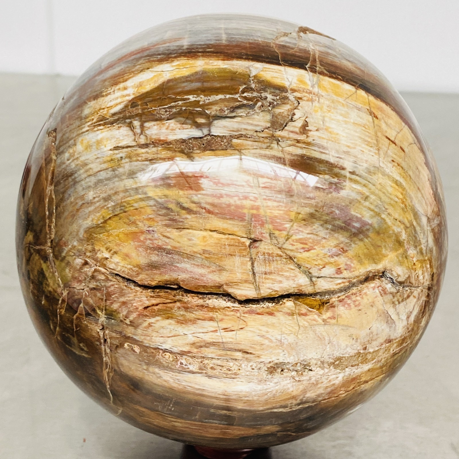 Natural Petrified Wood Polished Stone Quartz Crystal Sphere Ball Healing 3720G