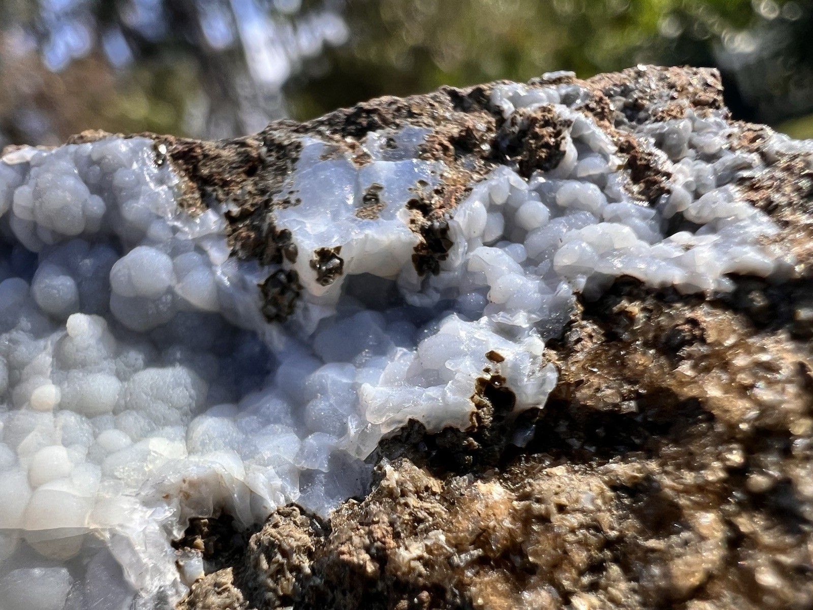Botryoidal Blue Chalcedony Vug – Gleichenberg, Austria – 165 Grams