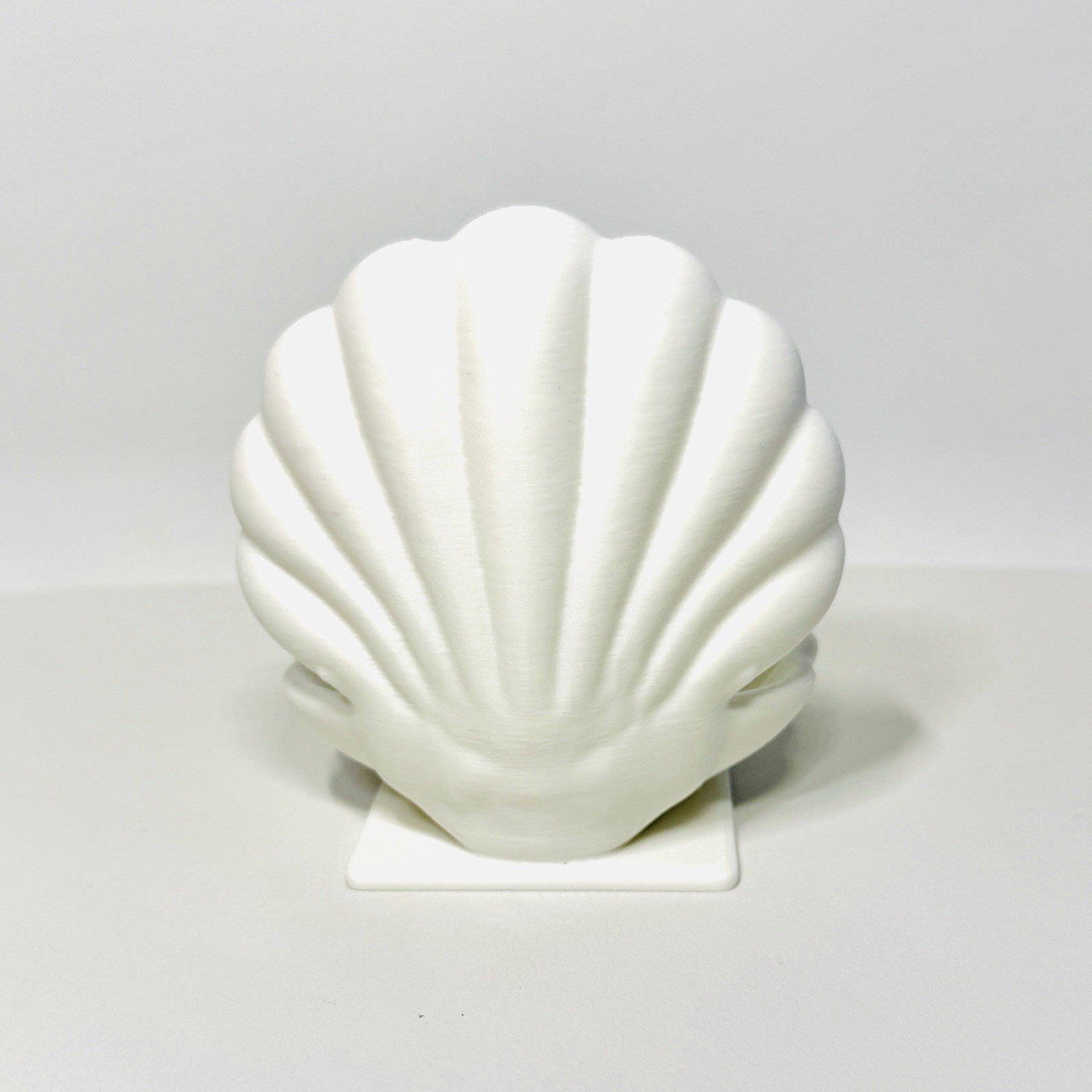Mystery Jasper Crystal Ball with White Venus Clam Display Stand – No Selection