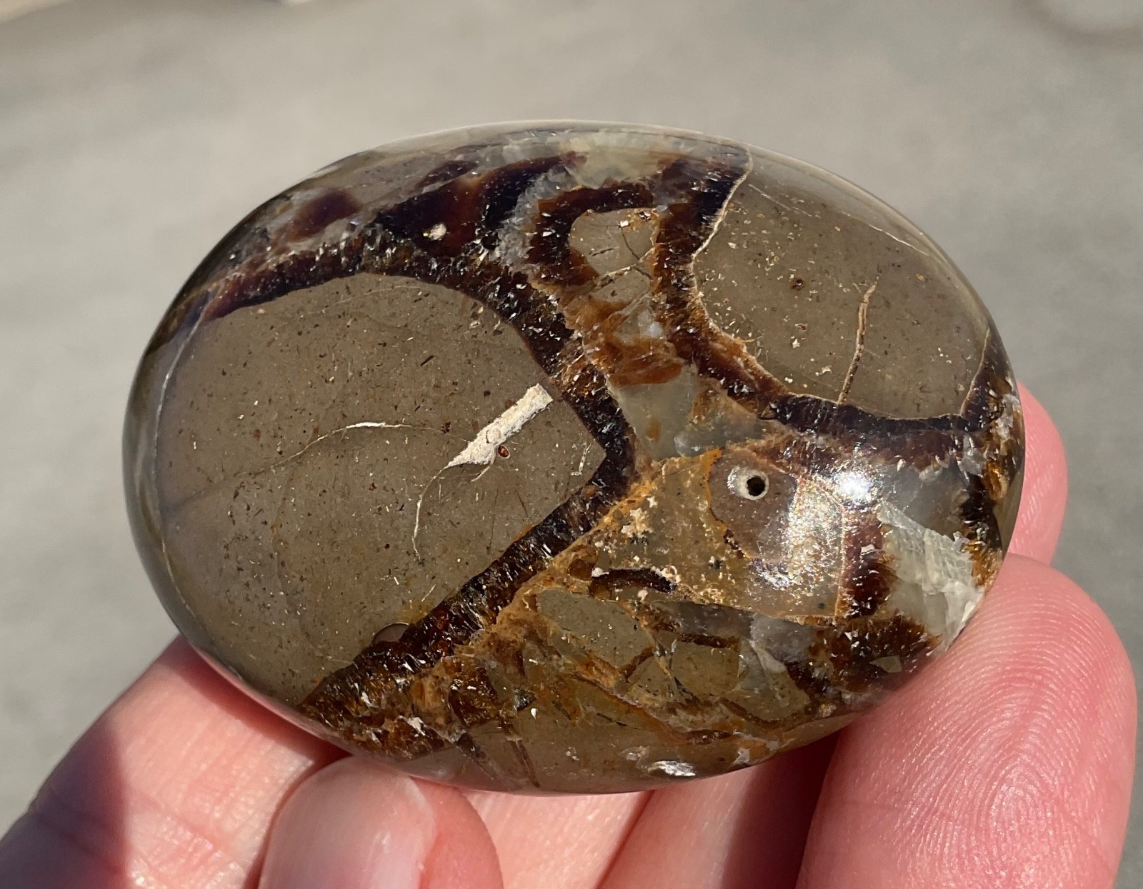 118g Polished Septarian Palmstone Dragon Egg Geode Fossil Worry Stone