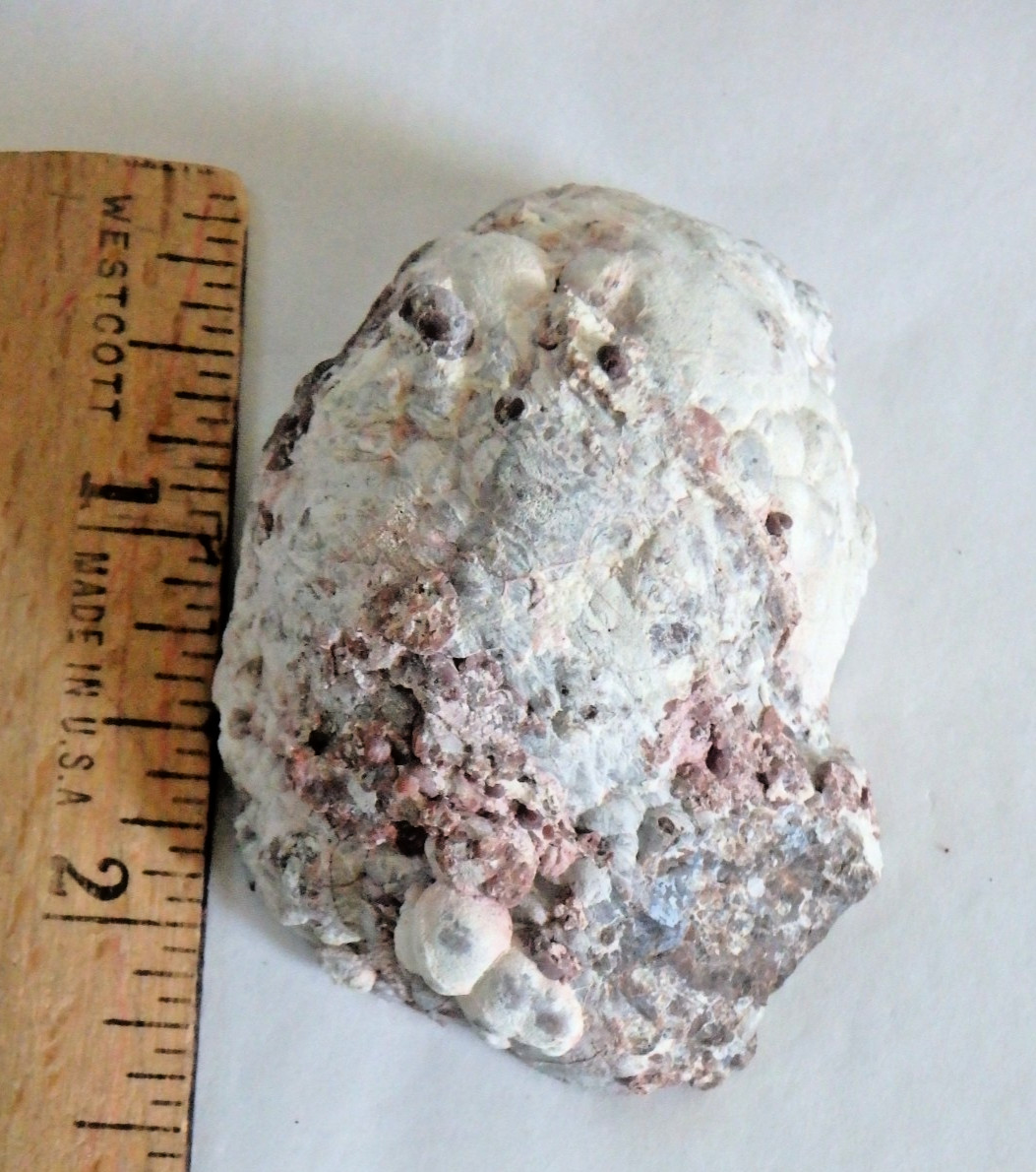 Unusual Baker Egg Geode Hermanus Ranch Columbus MN 65 grams half geode
