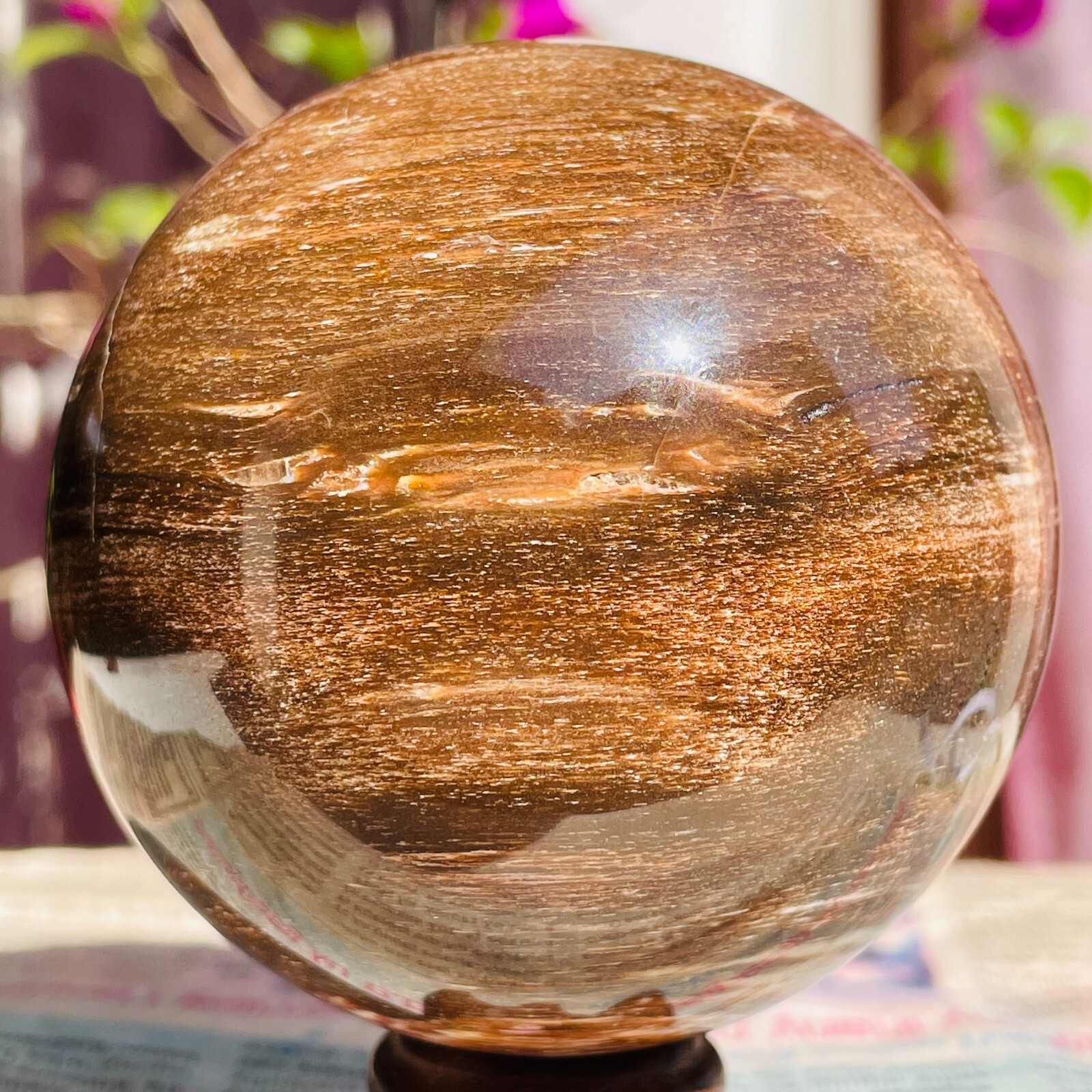 640g Natural Red Petrified Wood Crystal Ball Fossil Polished Sphere Specimen
