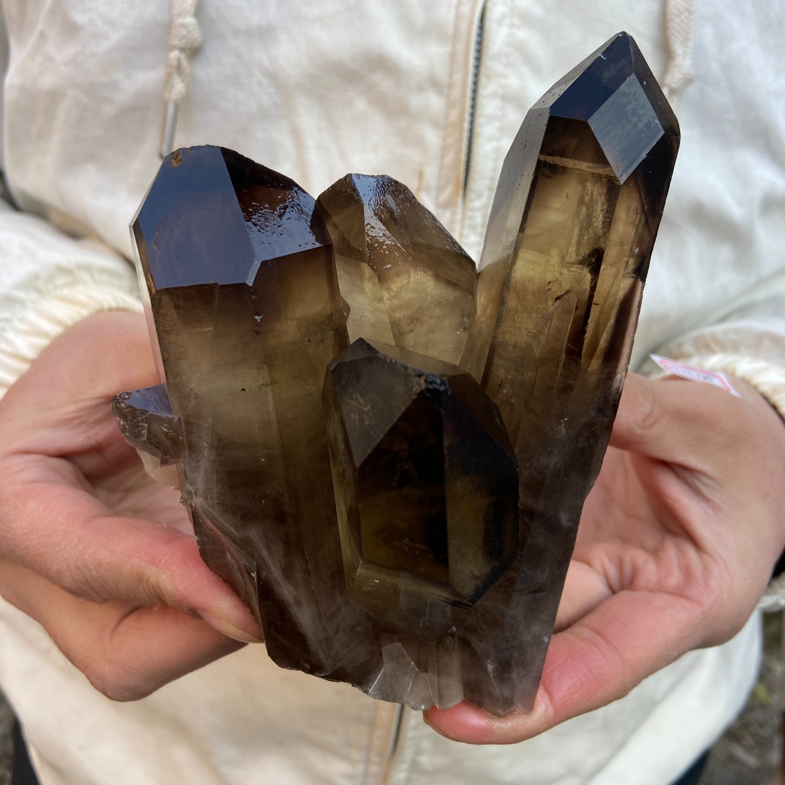 1.8LB Natural Smoky Black Quartz Cluster Crystal raw Specimen Healing
