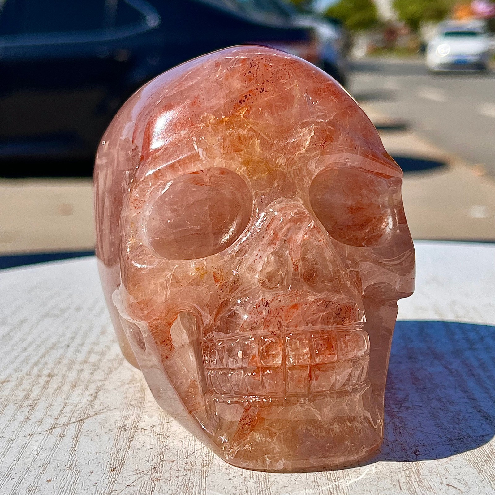 2.53LB Natural dreamy red gum flower skull hand carved skull healing