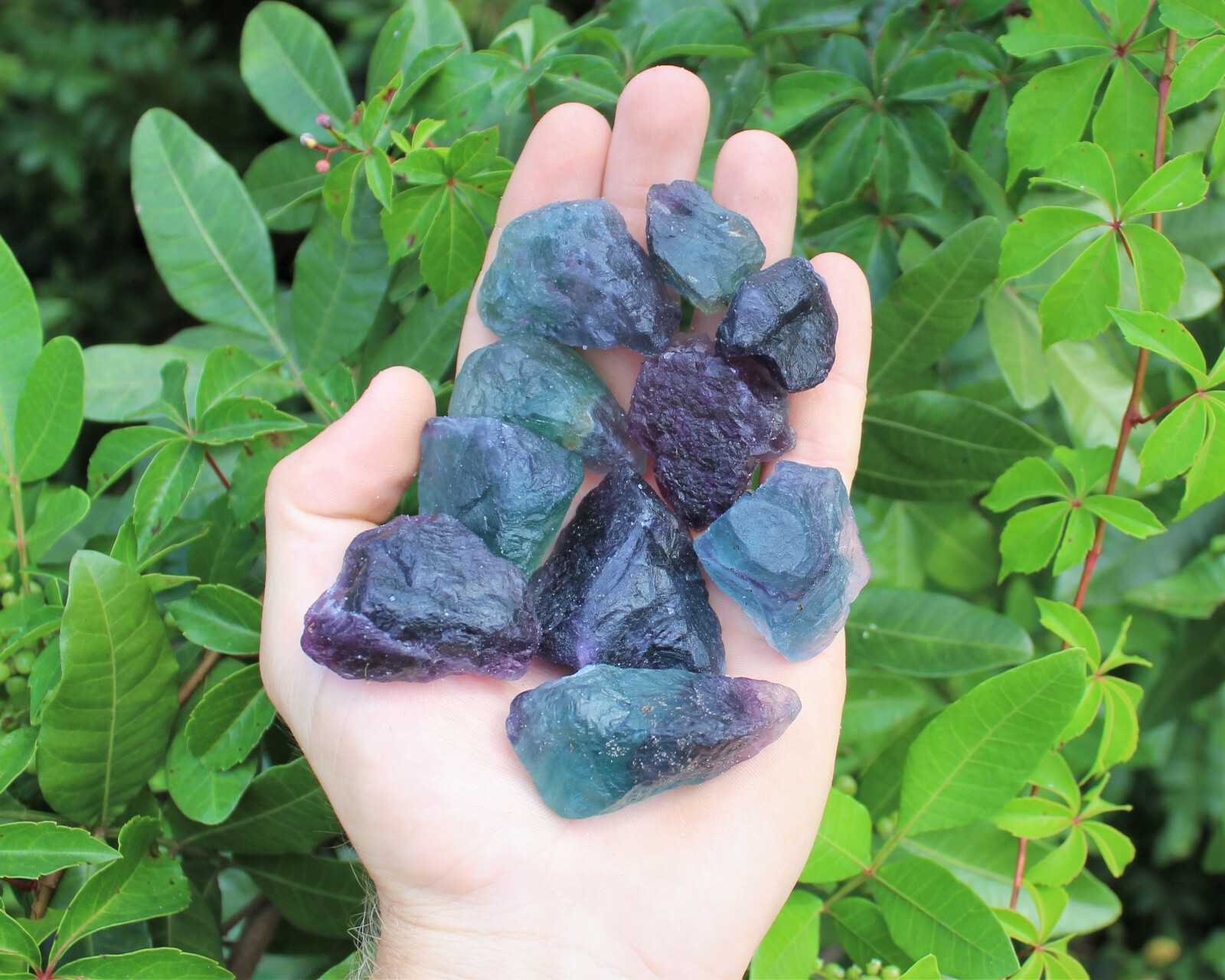 500 Carat Bulk Lot Natural Rough Fluorite (Raw Crystal Rock Healing 100 Grams)