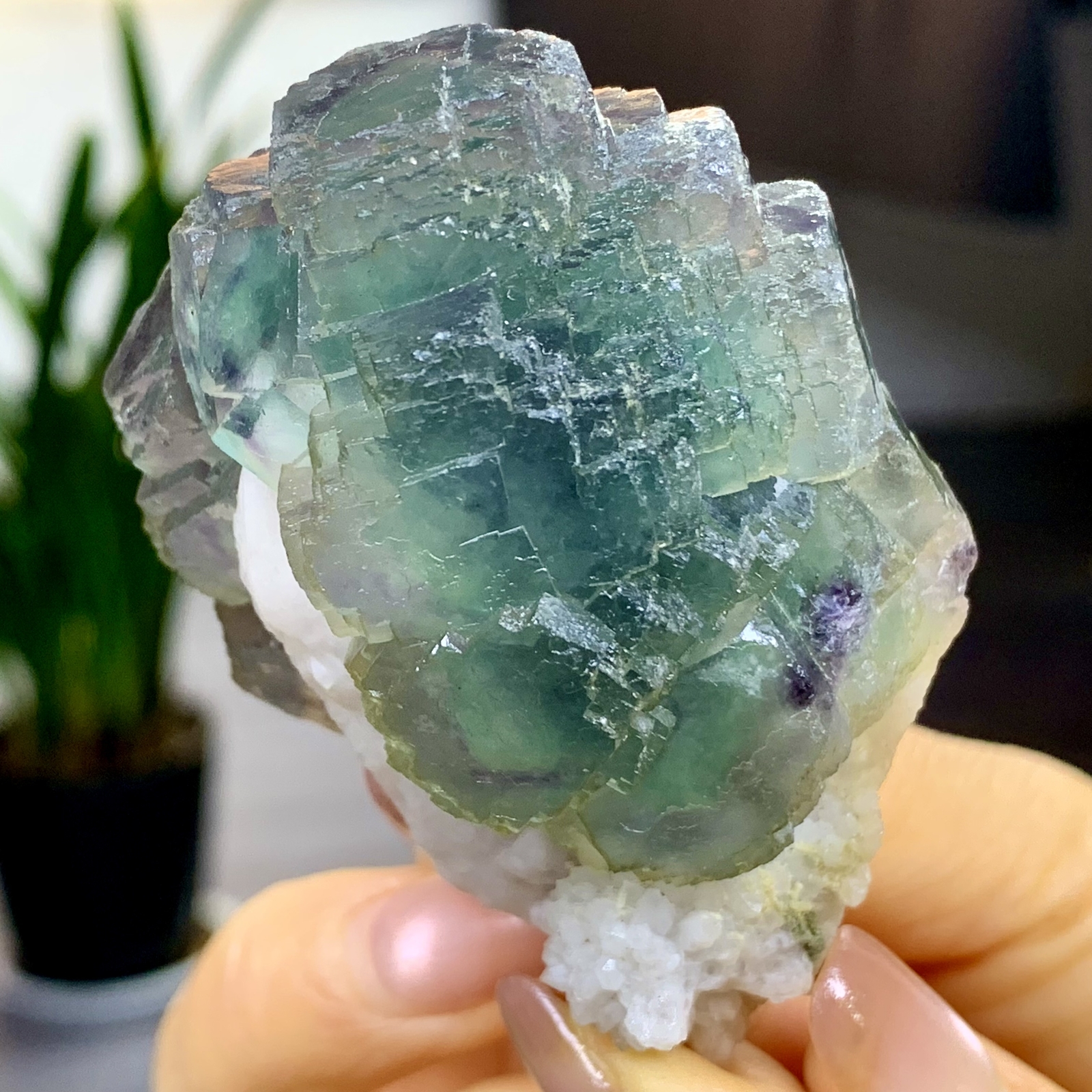 197G Rare transparent blue green cubic fluorite mineral crystal sample