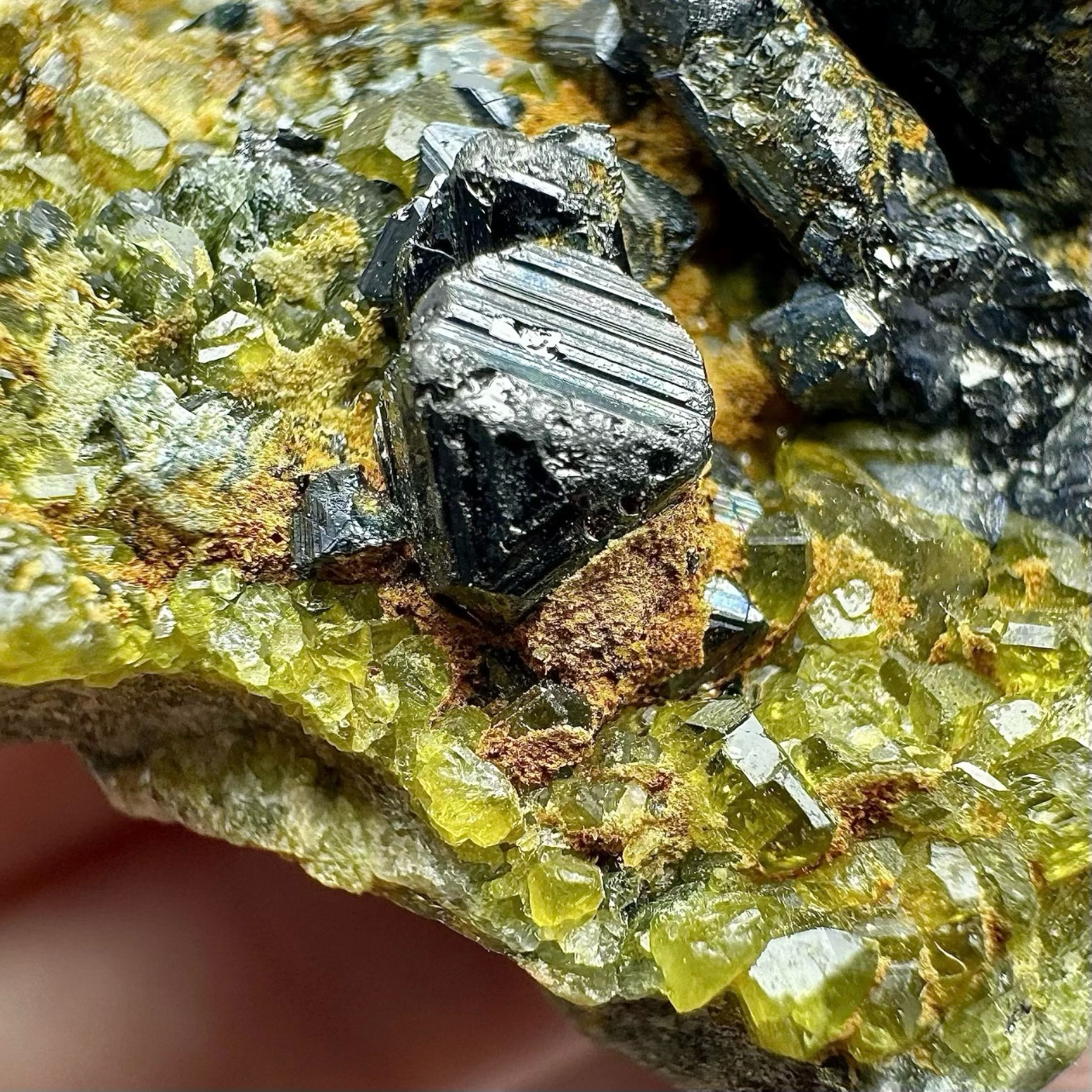 50 Gram Ultra Rare Magnetite W/Vesuvianite Crystals On Matrix From Afghanistan