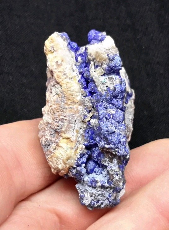 12 Piece AZURITE with QUARTZ and FLUORITE from Sierra Rica, Chihuahua, Mexico