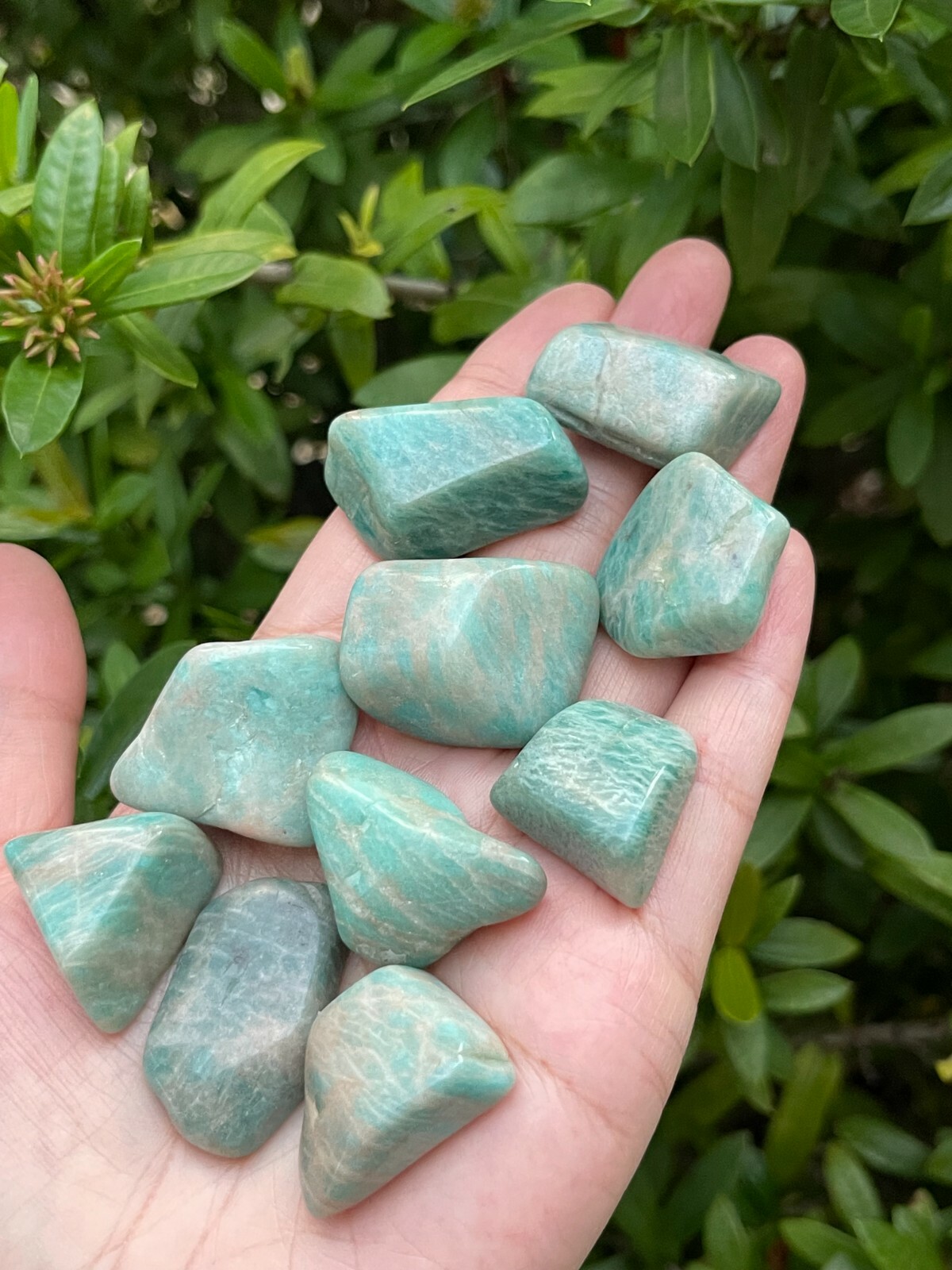 Grade A++Amazonite Tumbled Stones, 0.8″-1.25″ Polished Amazonite, Wholesale Lots