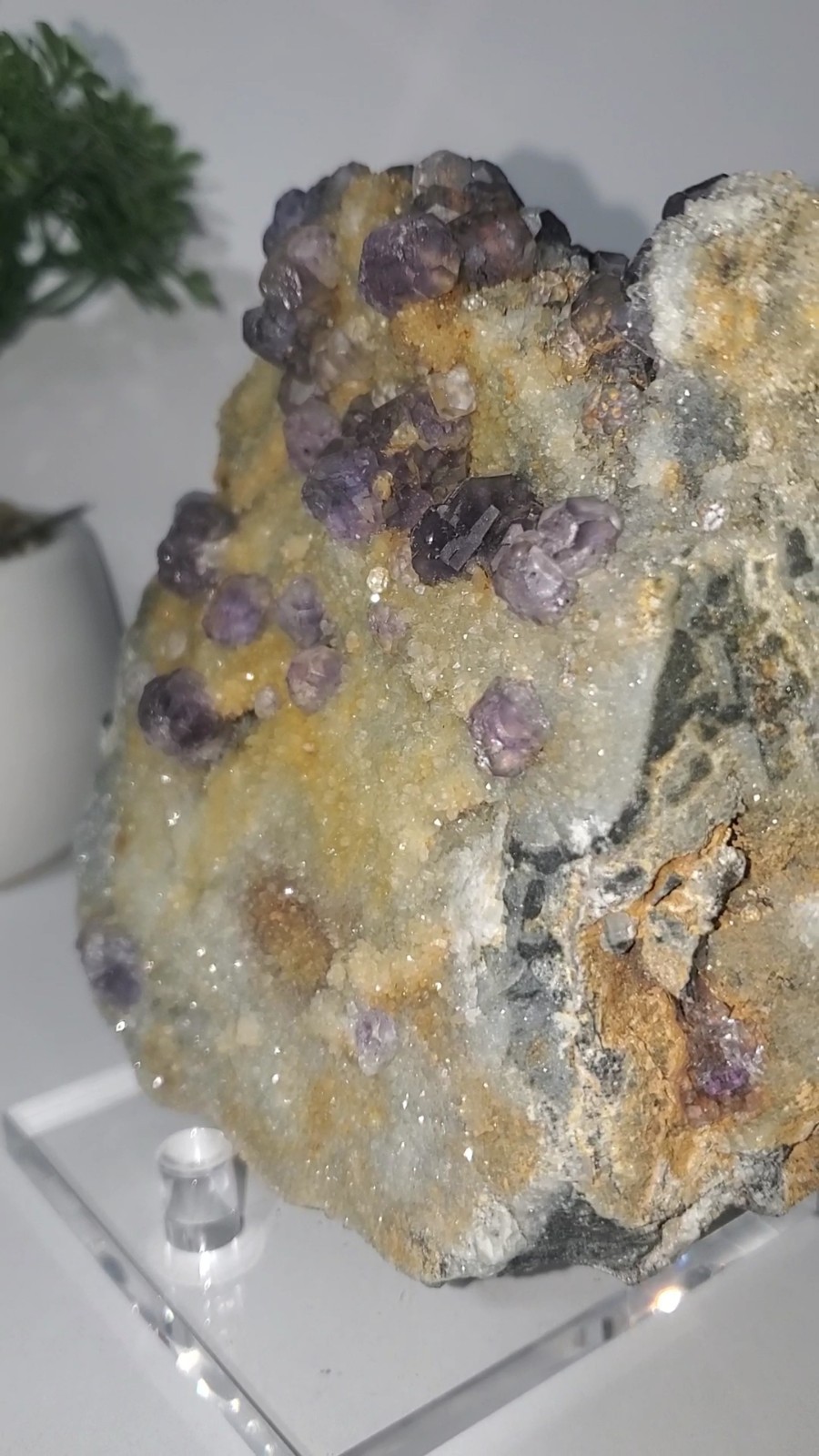 Tanzanite Fluorite On tan-colored quartz-rich matrix Statement PEACE 1KG 210G