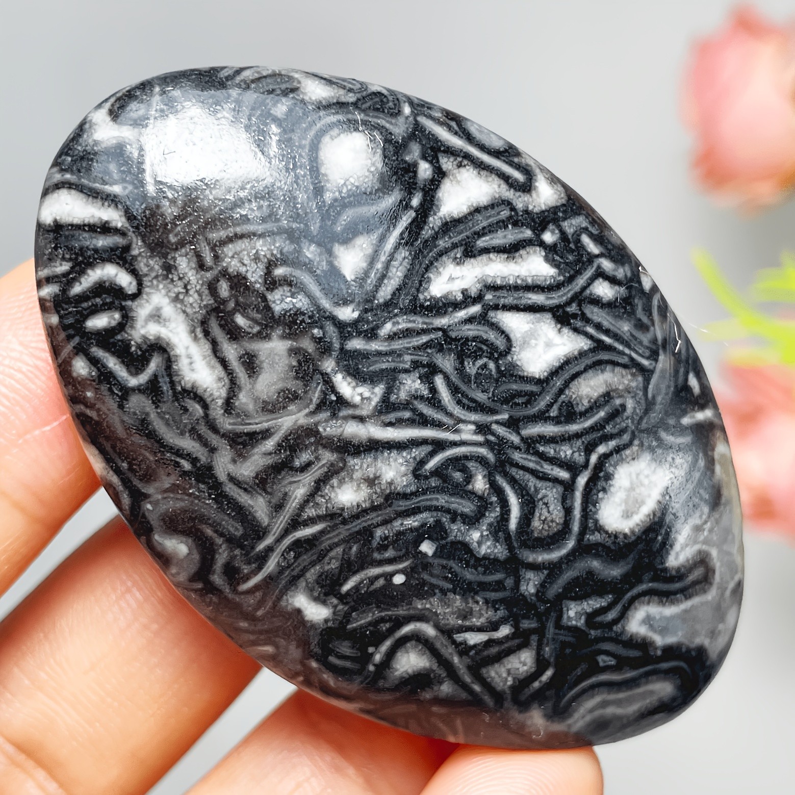 3PC Wholesale Natural Crystal Picasso Jasper Palm Stone Quartz Healing Decor