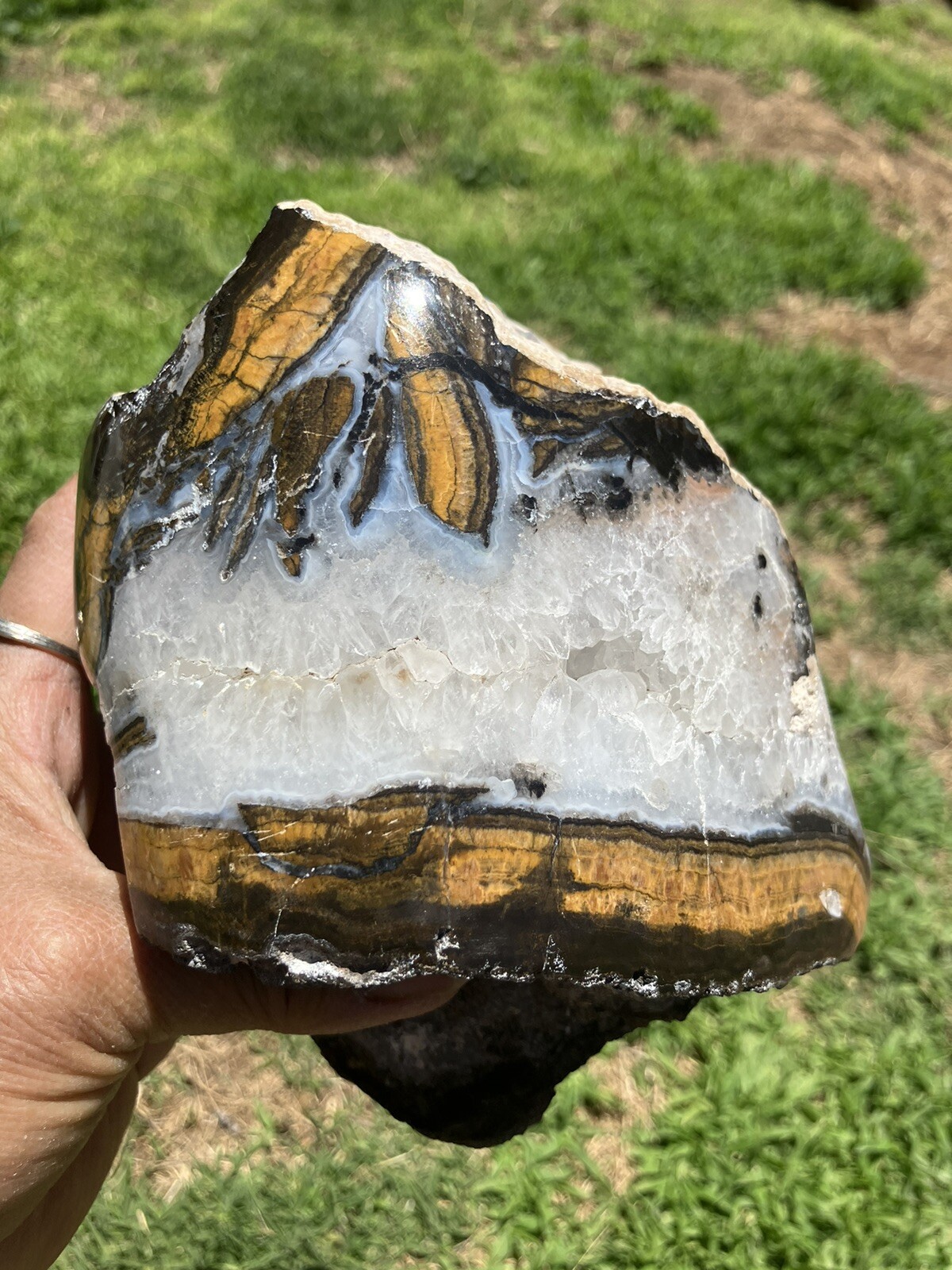 Black And Gold Agate Specimen (NM)