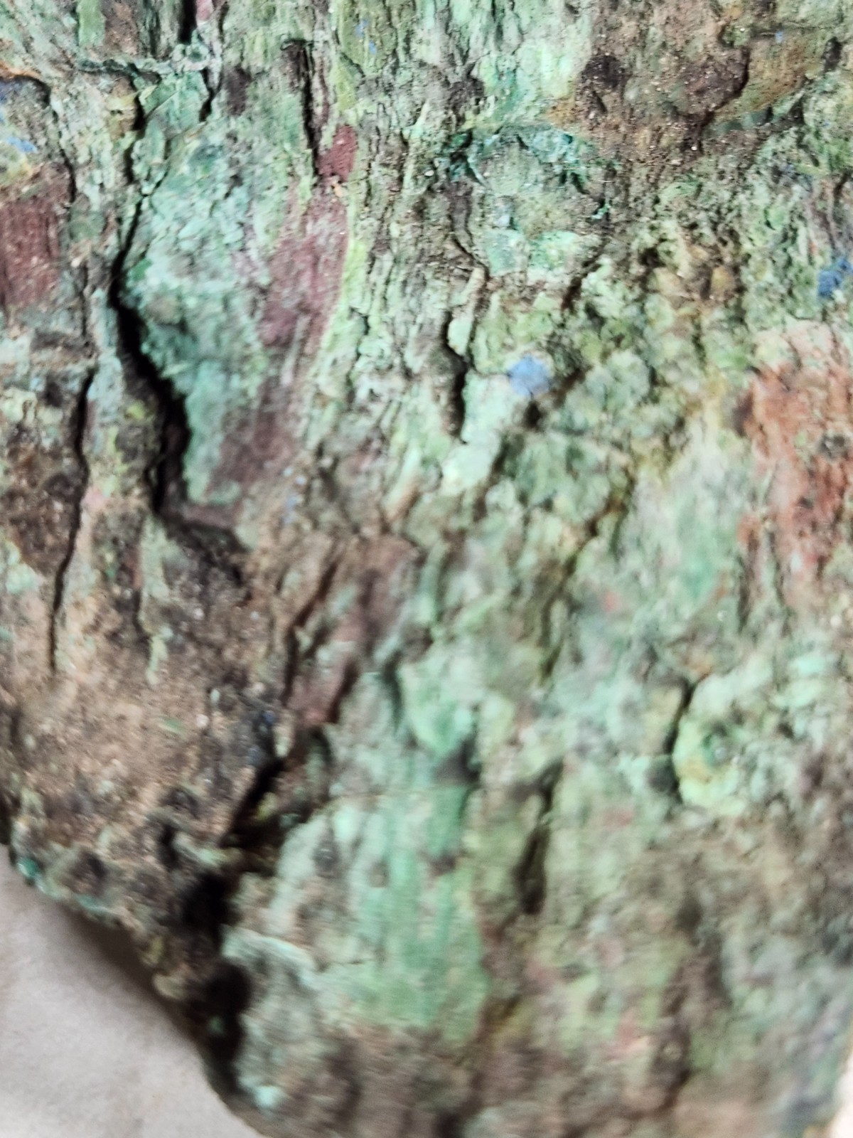 Wood replaced by Copper, Azurite/Malachite Tints, Nacimiento Mine, Cuba, NM