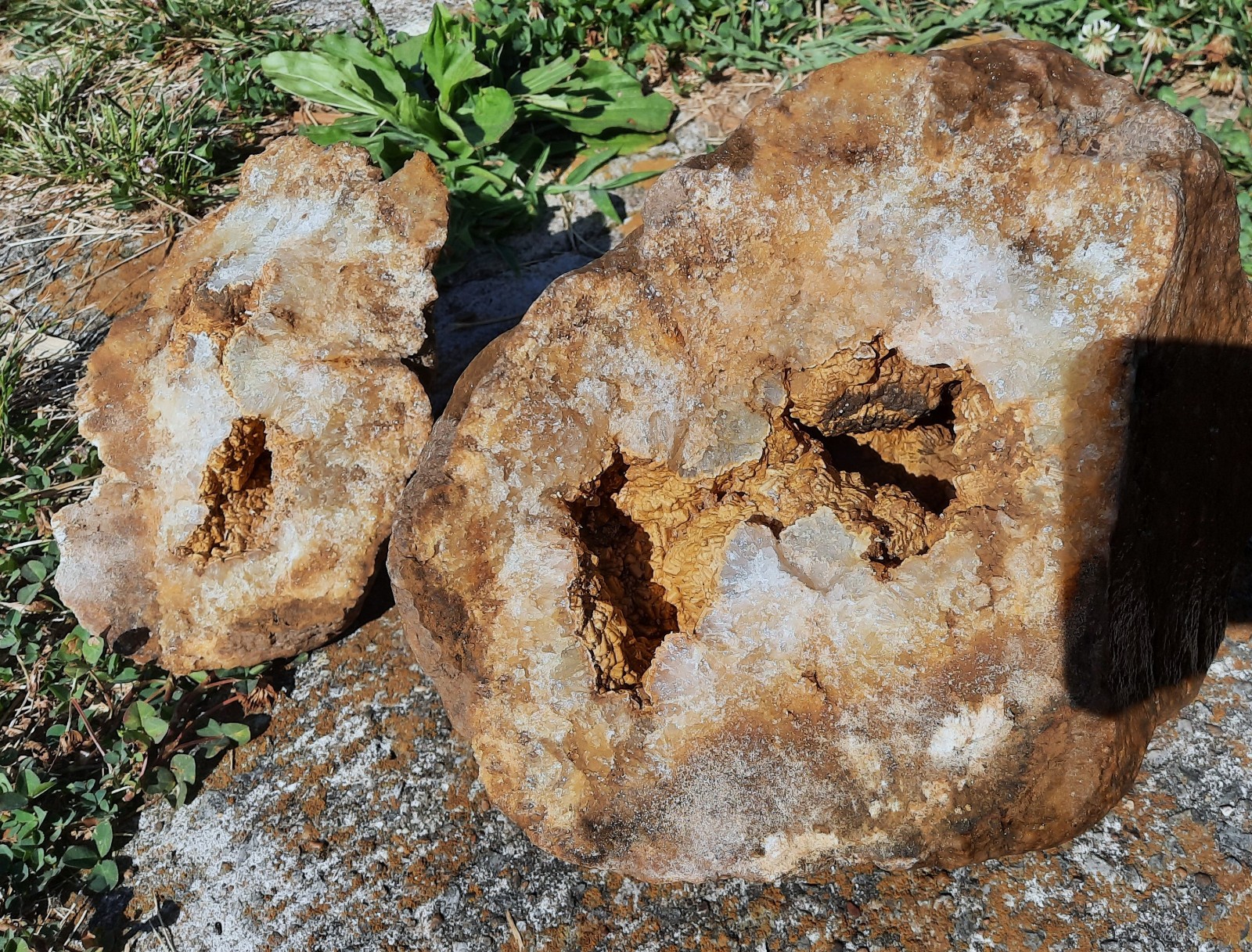 Giant Brown Calcite Geode with Crinoid Fossils. Southern KY. 9X8X8″, 17.2 LBS