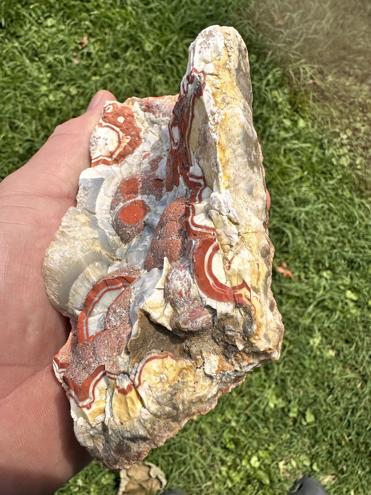 Large Natural Rare Kentucky Agate Rough from Estill County