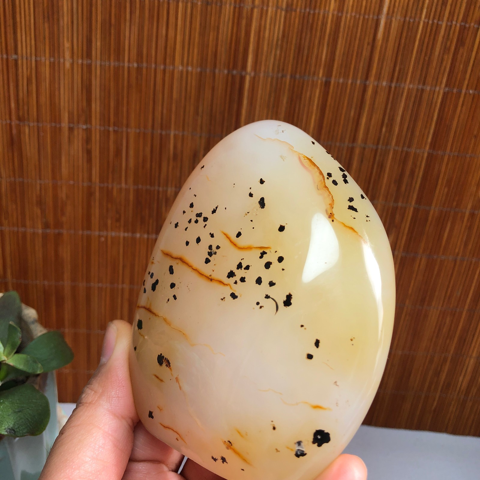 Natural aquatic plants agate pretty Crystal specimens free standing 288g A1487