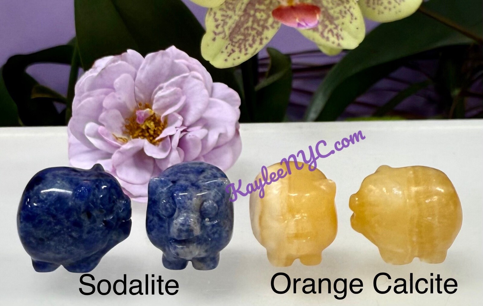 Wholesale Lot 12 PCs 1” Natural Crystal Pig Healing Energy