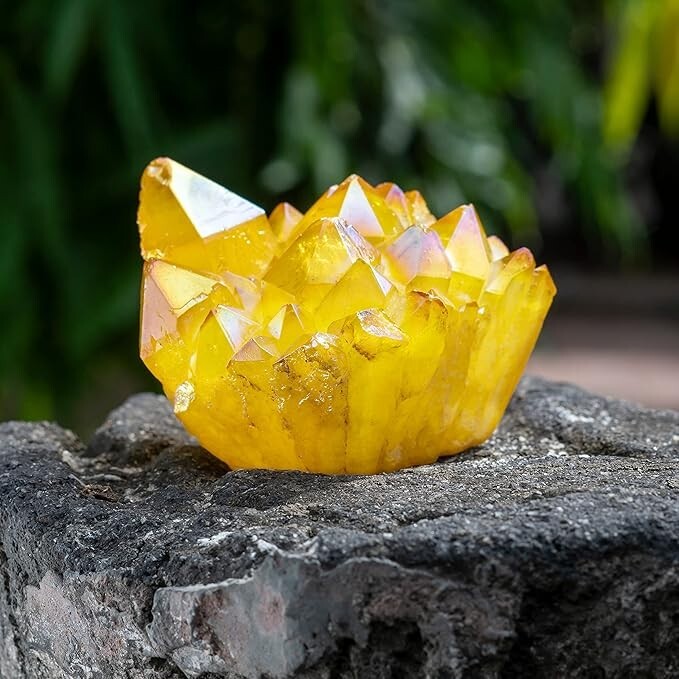 Natural Aura Angel Citrine Yellow Crystal Titanium Quartz Point Cluster Specimen