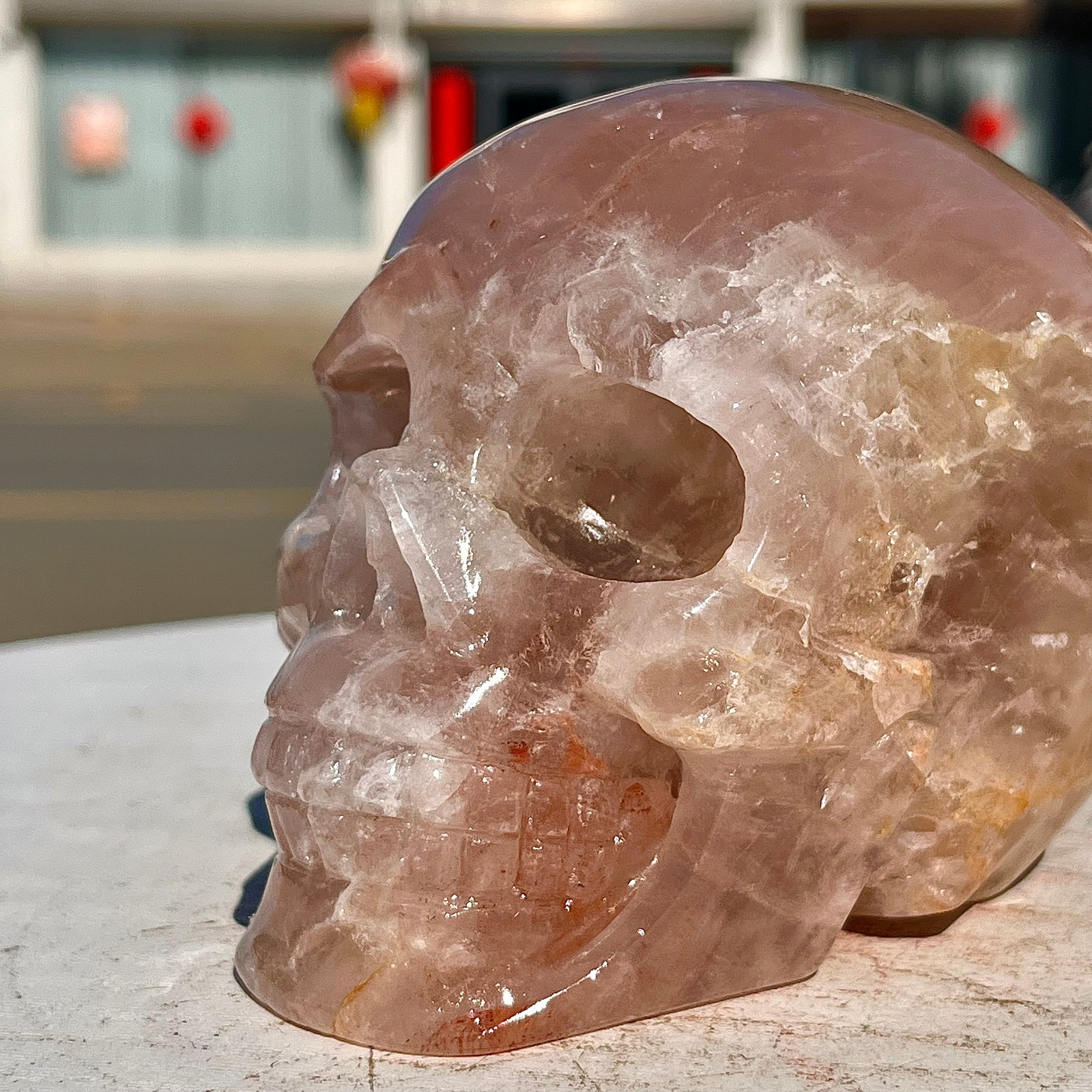 2.71LB Red Gum Flower Skull Carving | Handmade Carving | Healing Energy