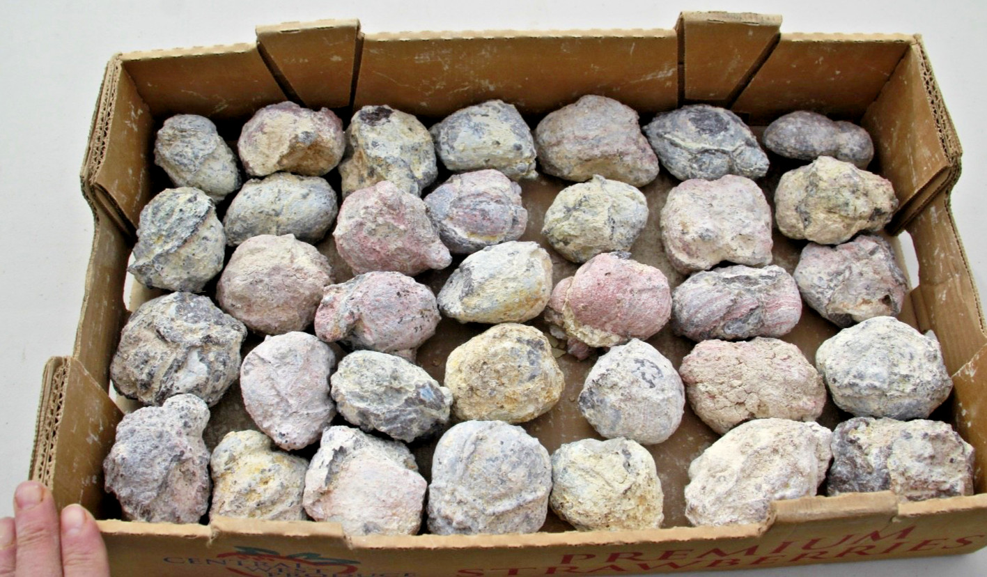 18lb. Box with 35 Whole Dugway Geodes • 2.0″ to 3.0″ diameter