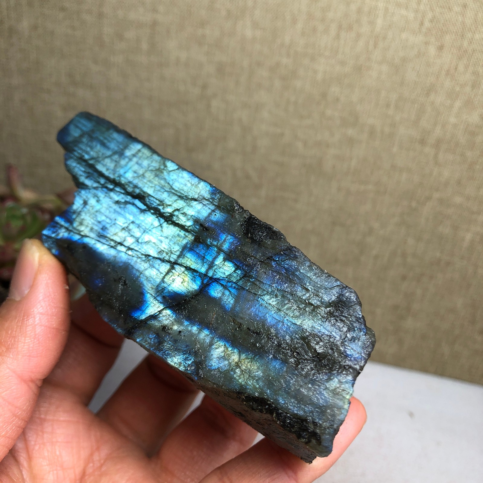 92-34-36mm Natural Labradorite Crystal gemstone Rough Mineral Specimen A4418
