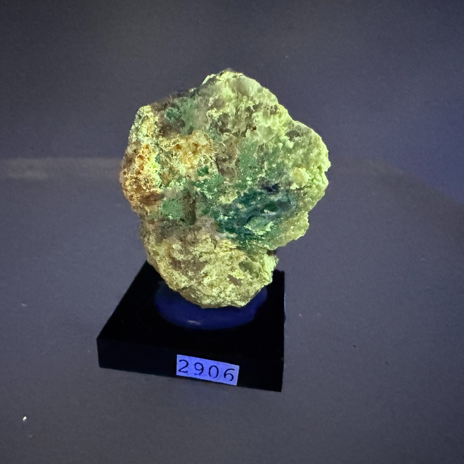 Powellite: Jardinera No. 1 Mine, Atacama, Chile- Rare!