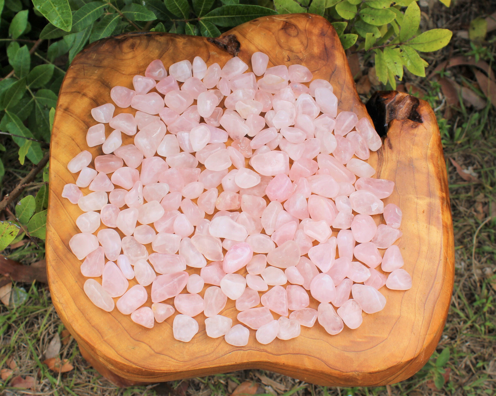 5 lb Bulk Lot Rose Quartz Tumbled Stones (Crystal Healing, Love Stone, Gemstone)