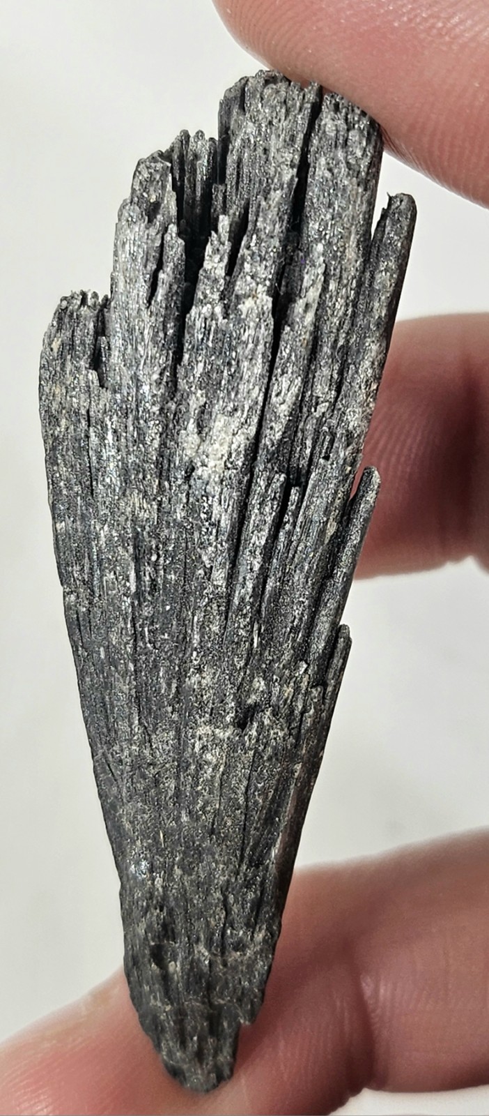 Natural Rough Black Kyanite Fan Blade – Witch’s Broom Crystal Healing Specimen
