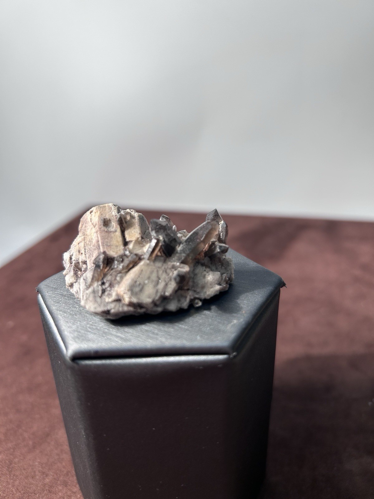 Smoky Quartz on Microcline Colorado Crystal Lined Pocket Miniature Mineral