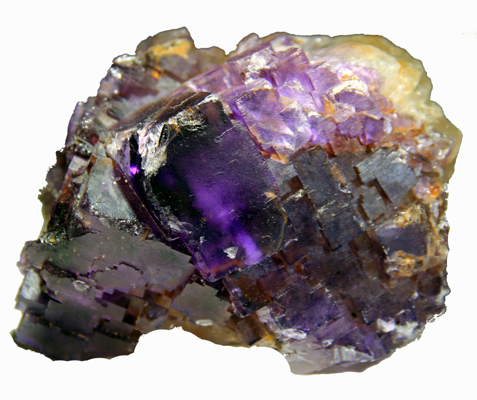 5.25″ Gorgeous FLUORITE on Matrix, Cave-in-Rock, Hardin County, Illinois! FL366