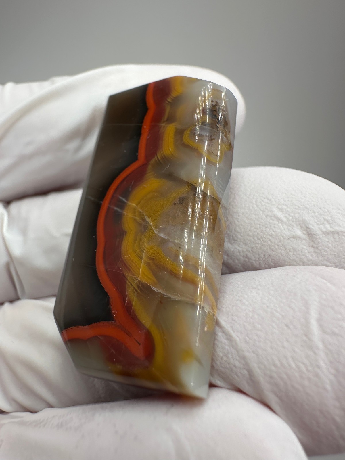 RARE ( 61 ct. ) Kentucky Agate Designer Cabochon from Estill County, Kentucky