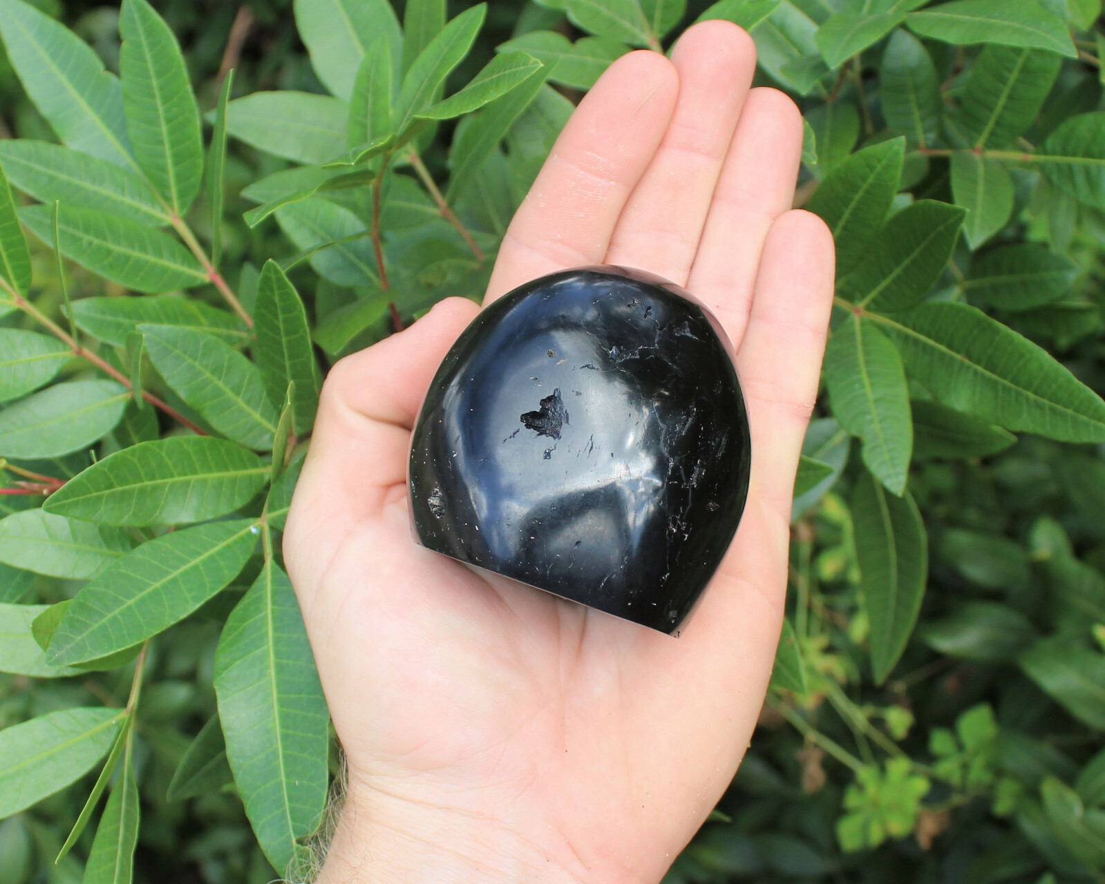 Polished Black Tourmaline Freeform: Cut Base Free Standing Display Specimens